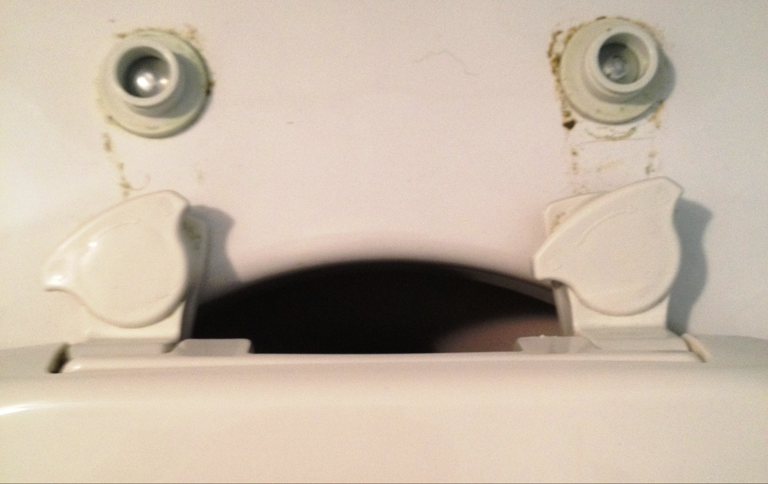 toilet seat hinges undone