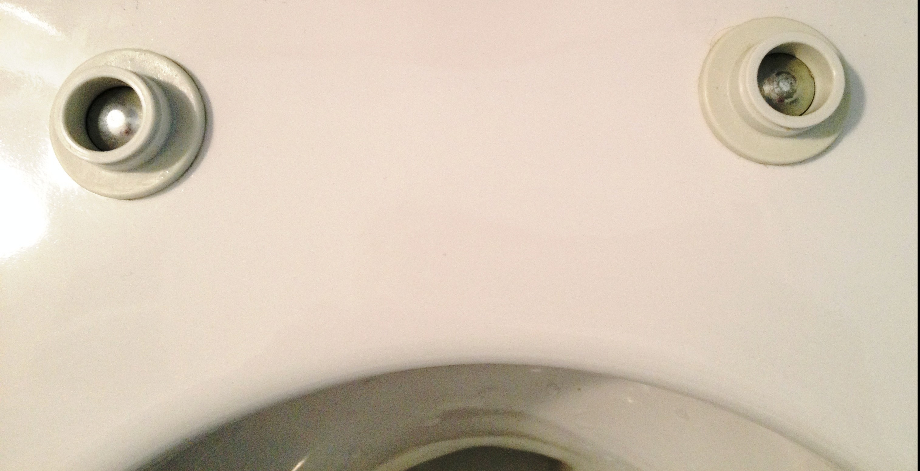 toilet bolts are clean around the hinges