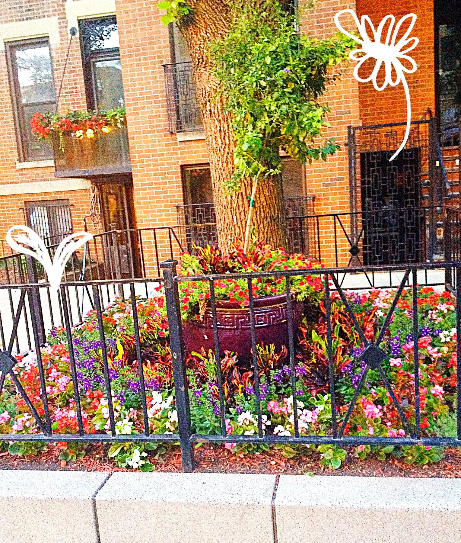 Flower plantings in Chicago's Old Town