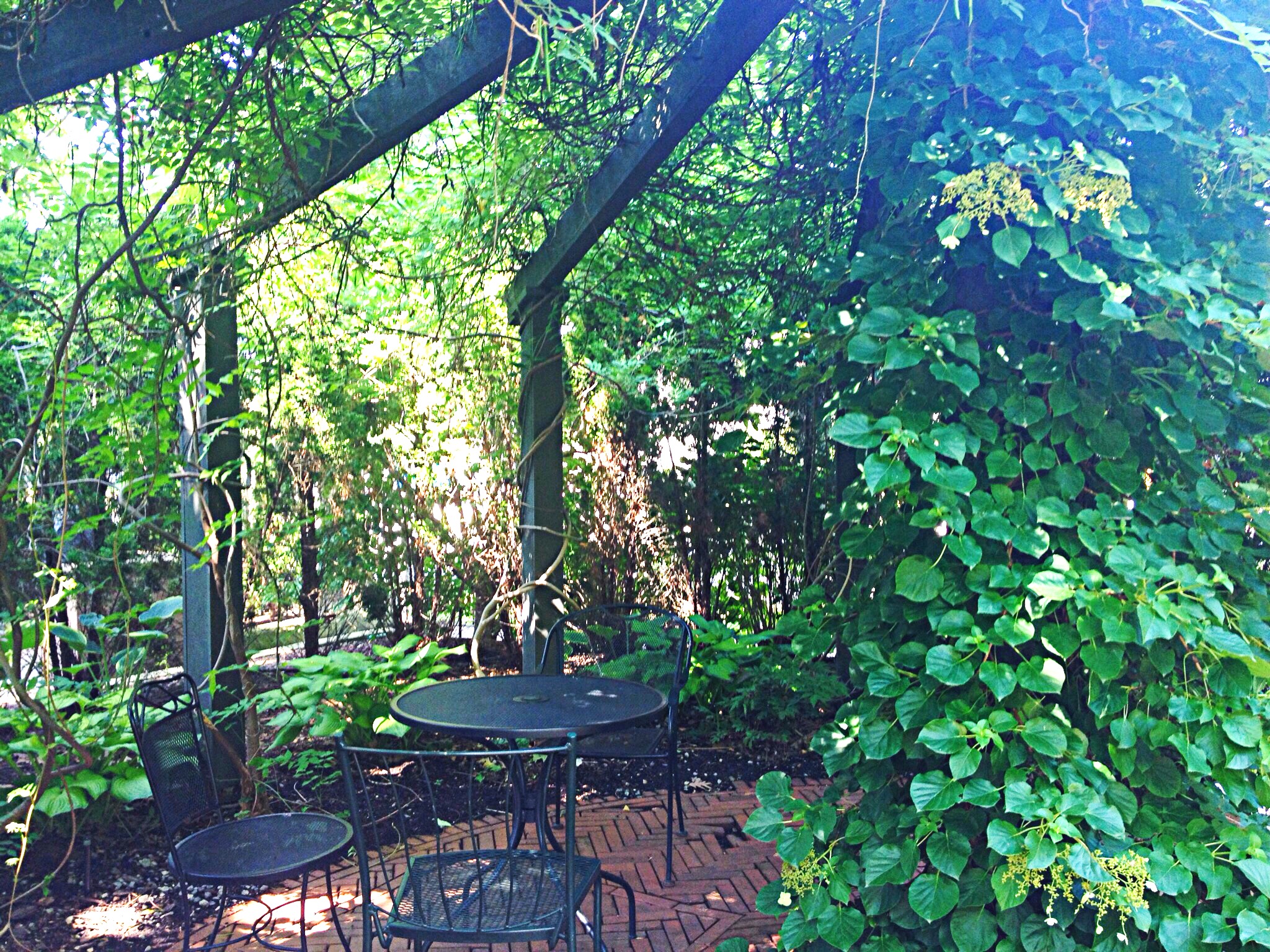 Photo of a spoked arbor frame. The arbor provides leafy shade.