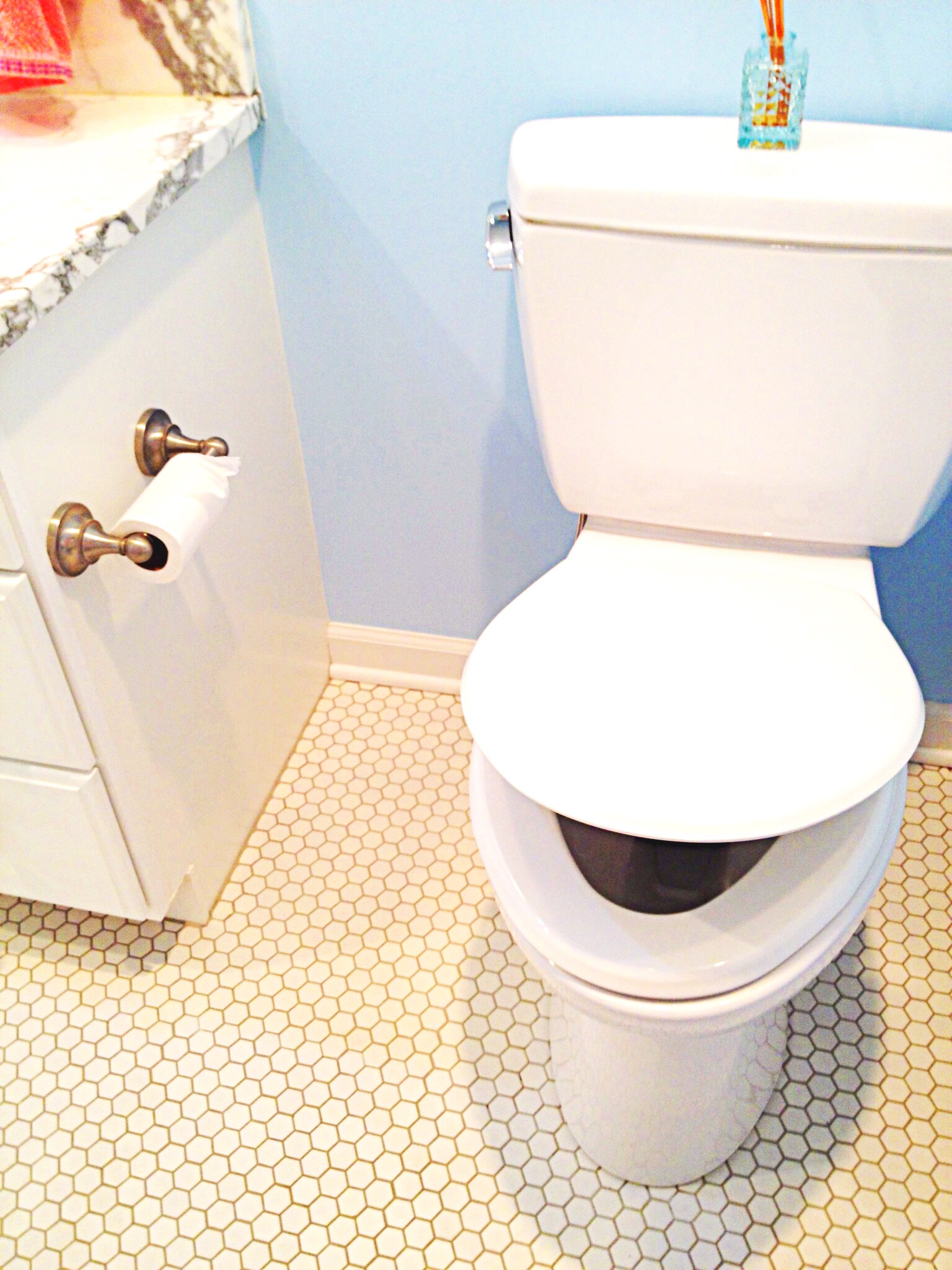 photo of slow-close toilet seat