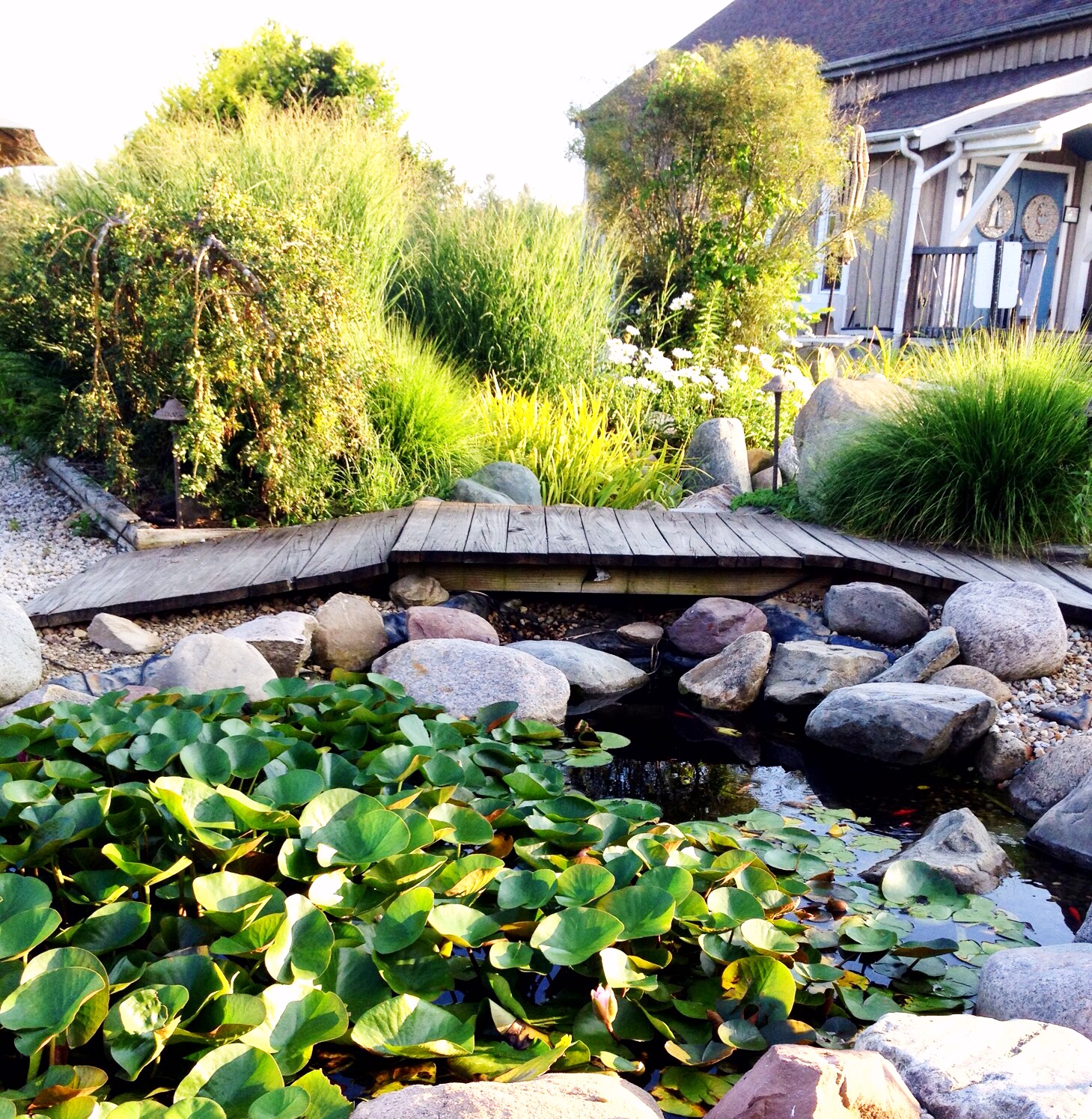 Photo of gardens and goldfish pond