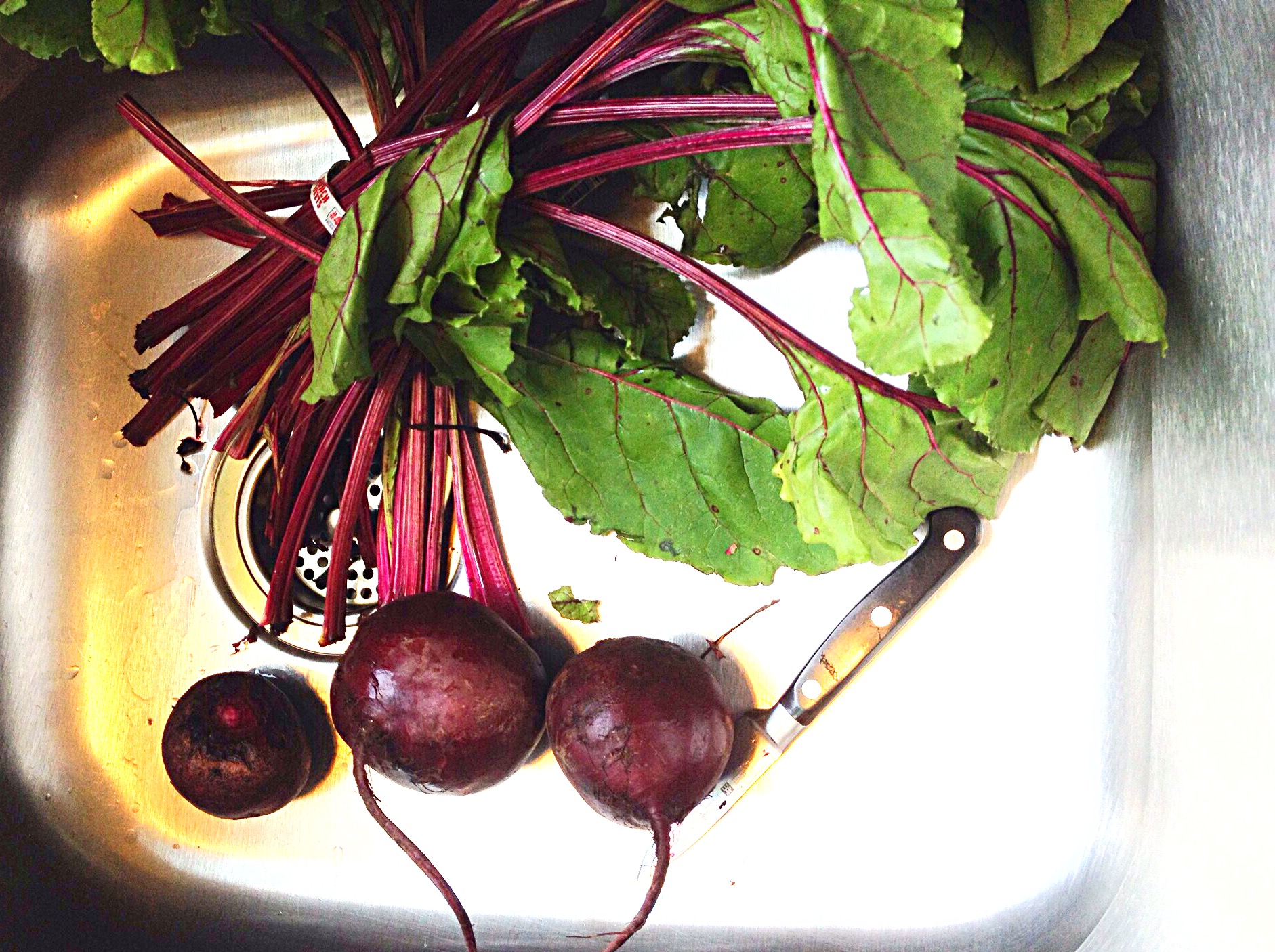 Photo of 3 fresh beets in sink