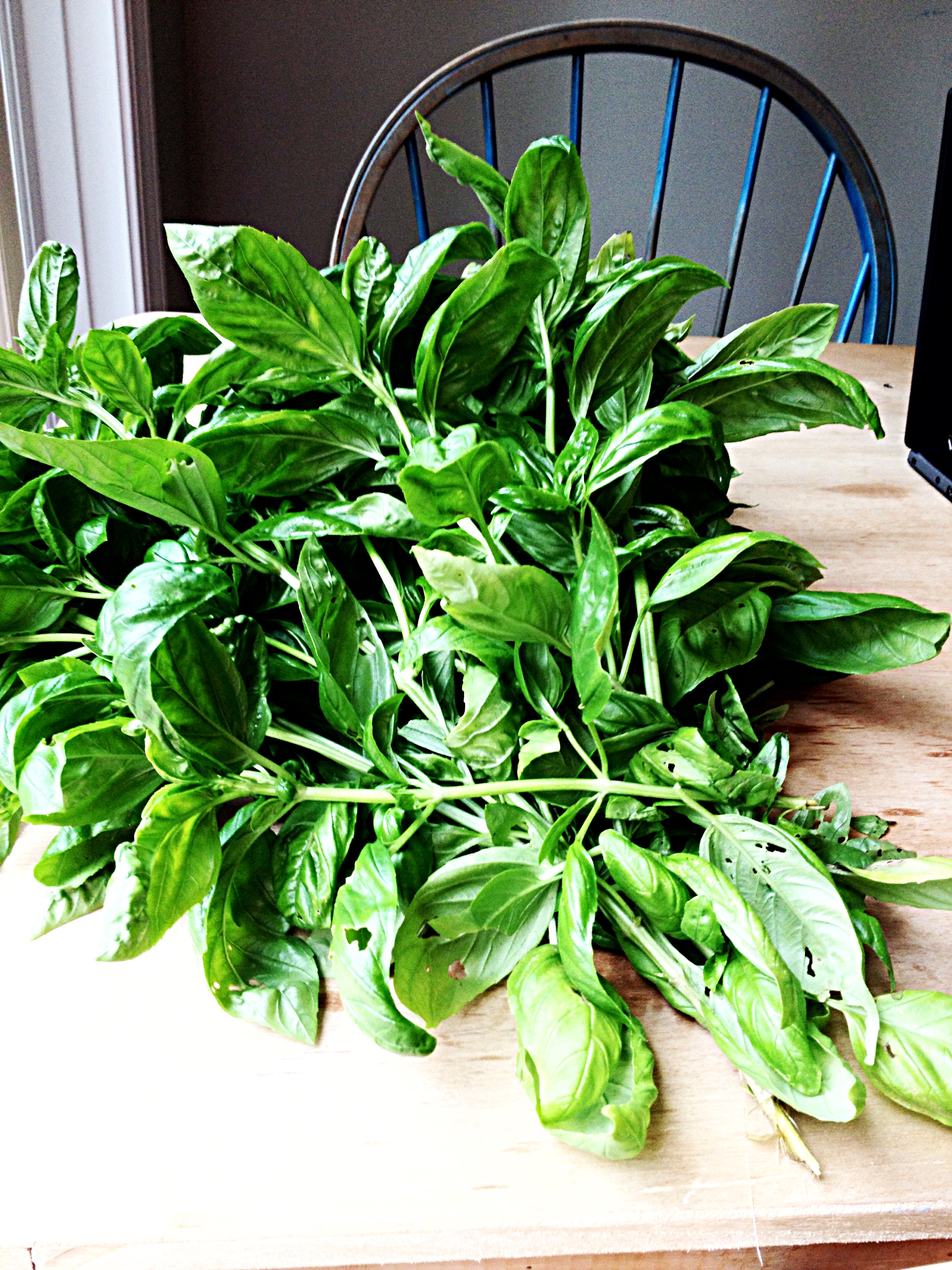 basil leaves covering the table