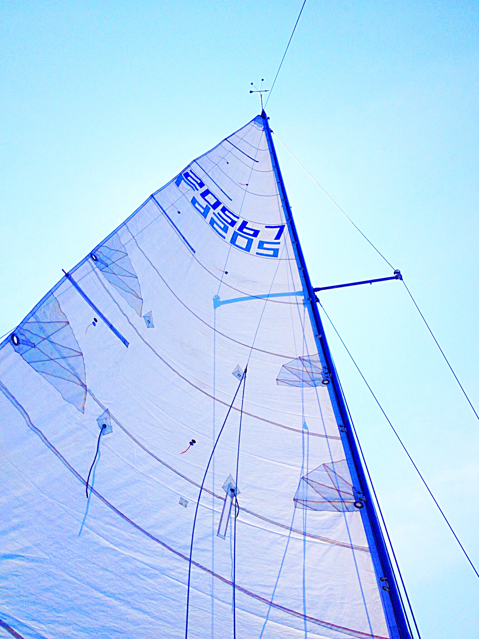 photo of mainsail