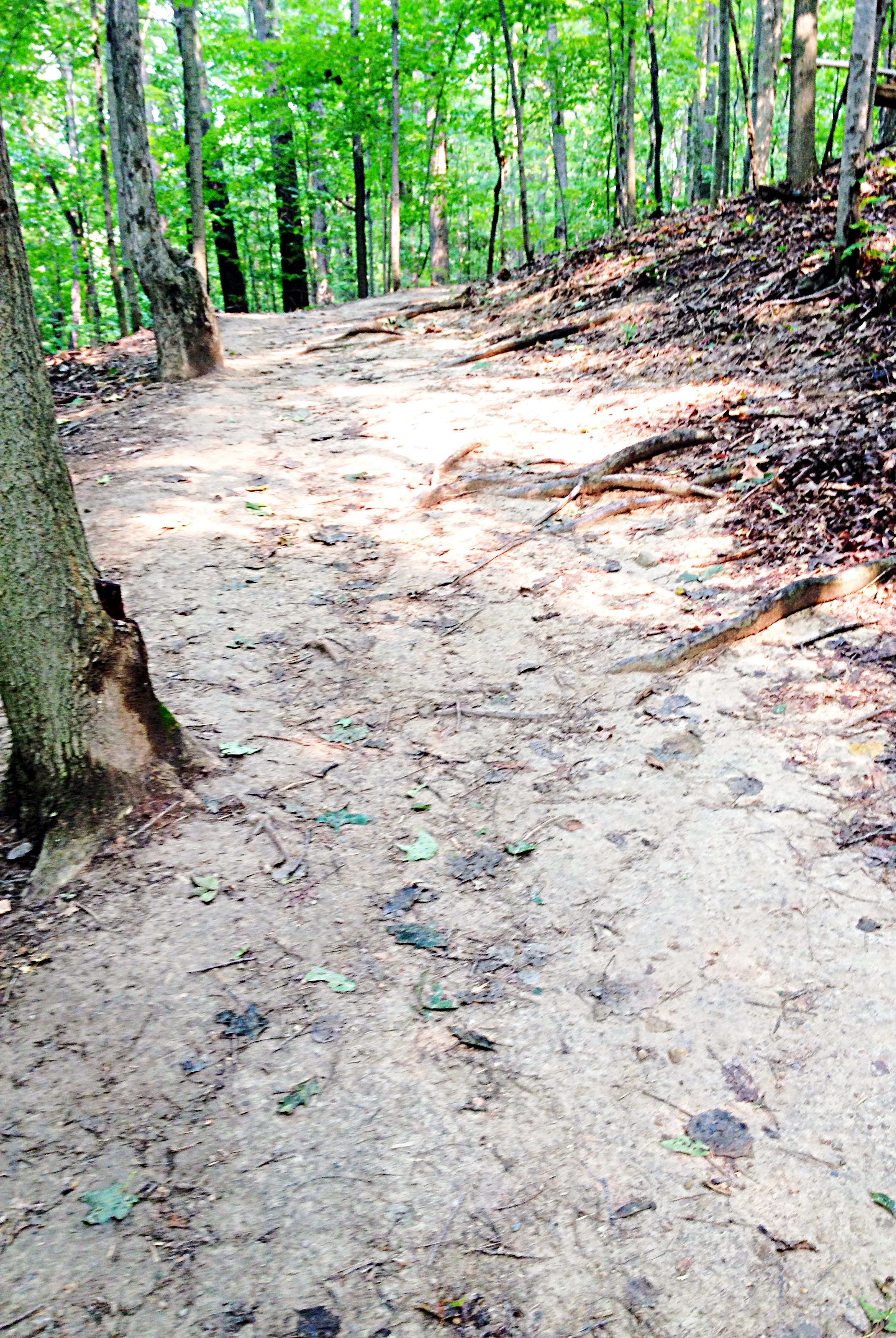 Brandywine Falls Gorge Trail
