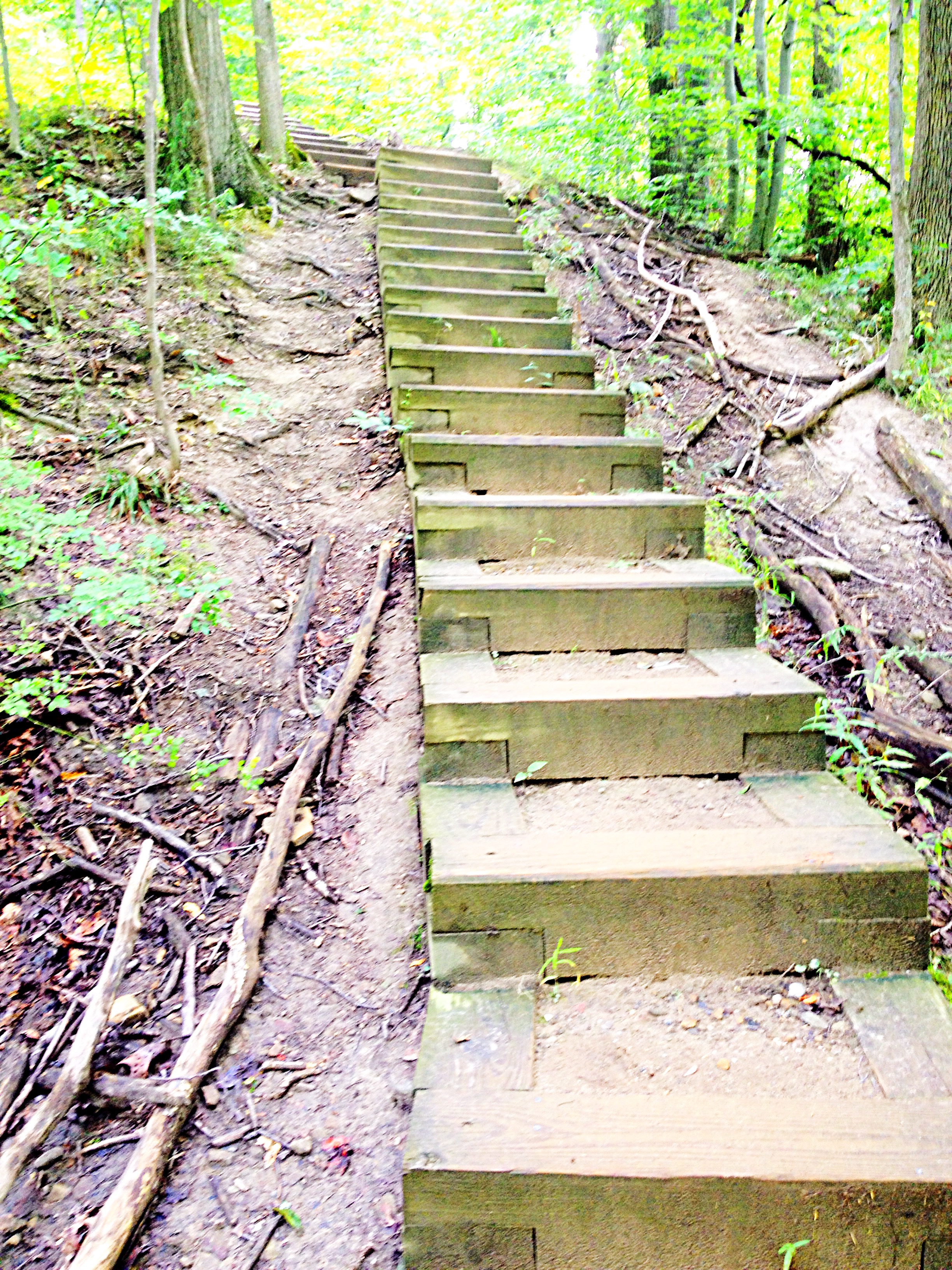 stairs on Stanford Trail