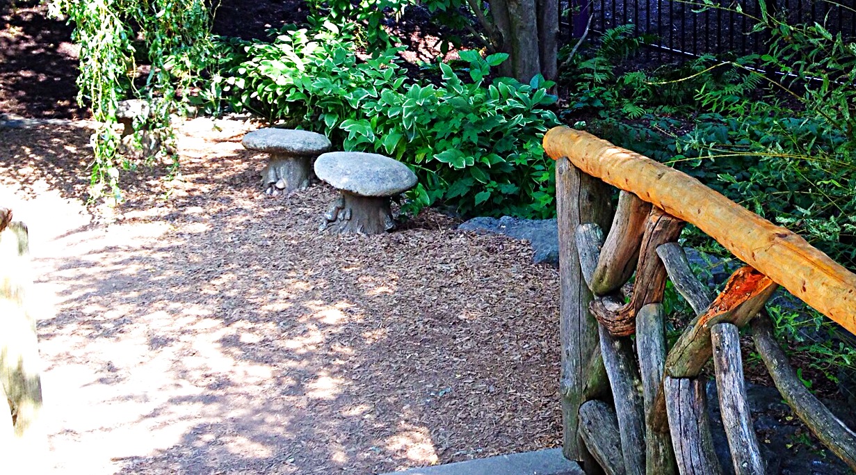 toad stools