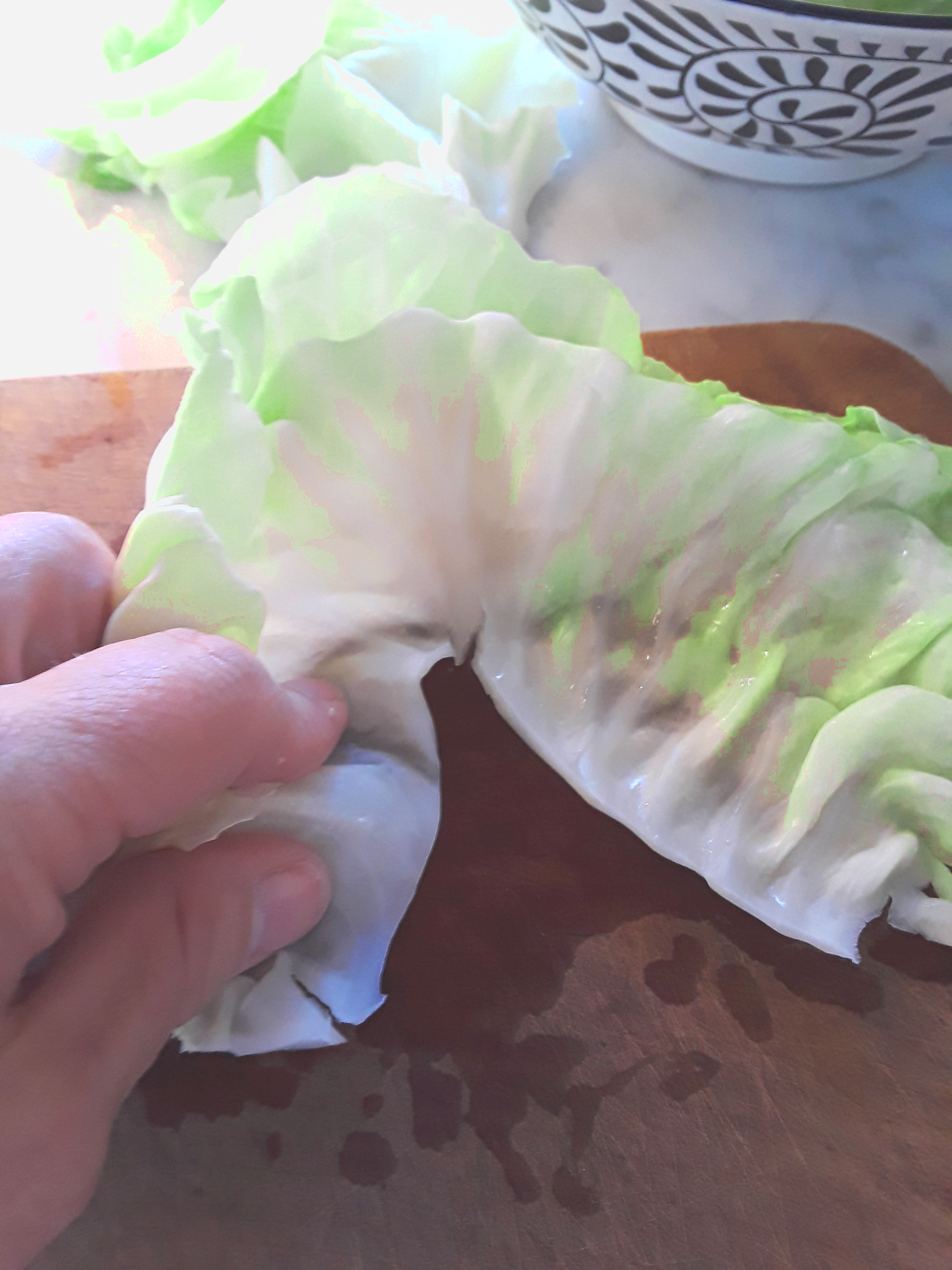 cut rib from cabbage leaf
