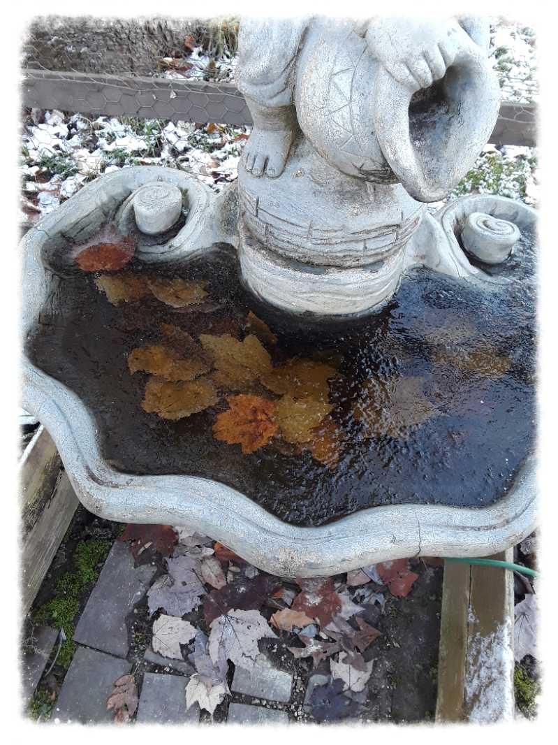 garden fountain with leaves, iced over