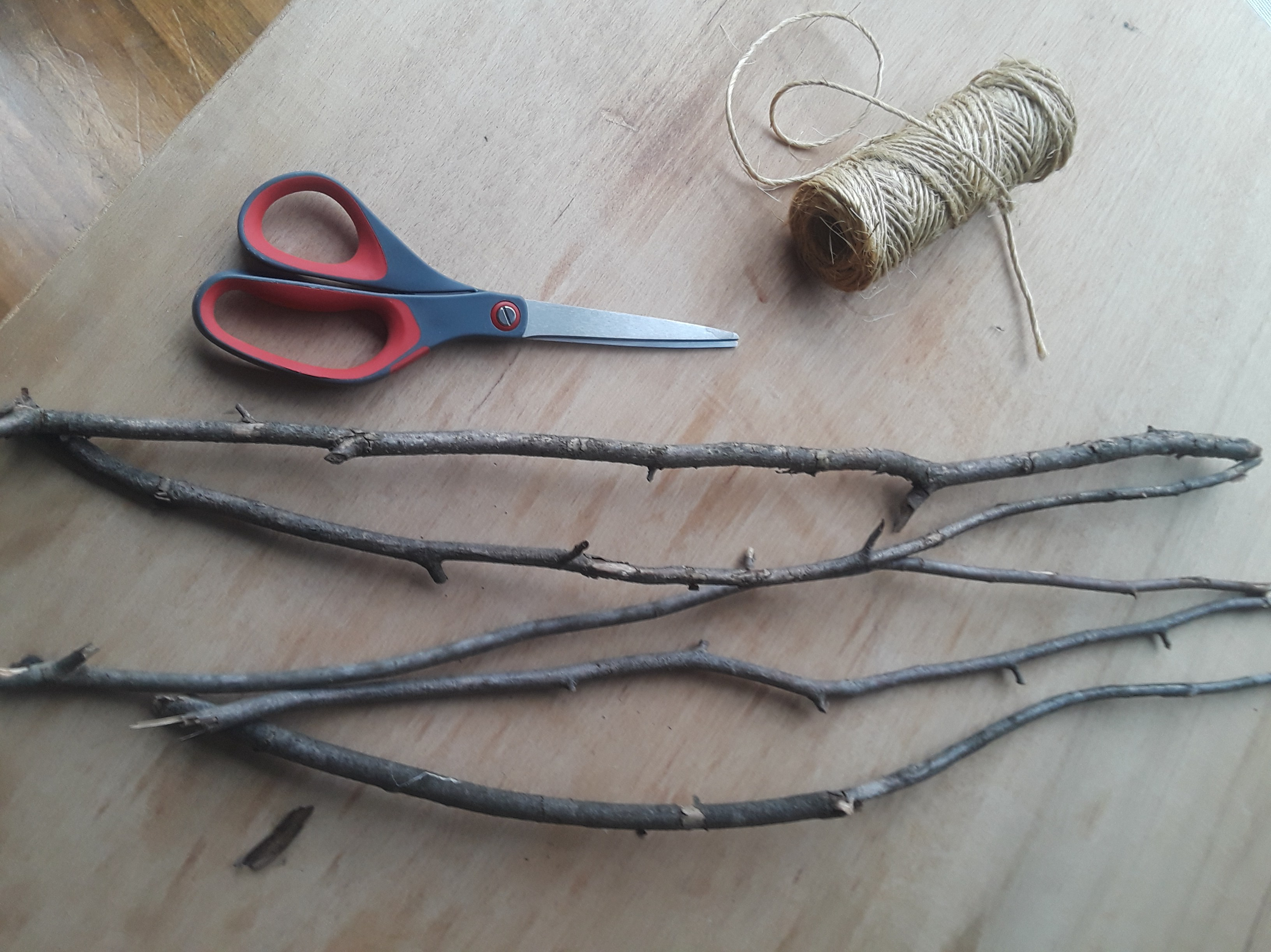 tree branches, twine, and scissors