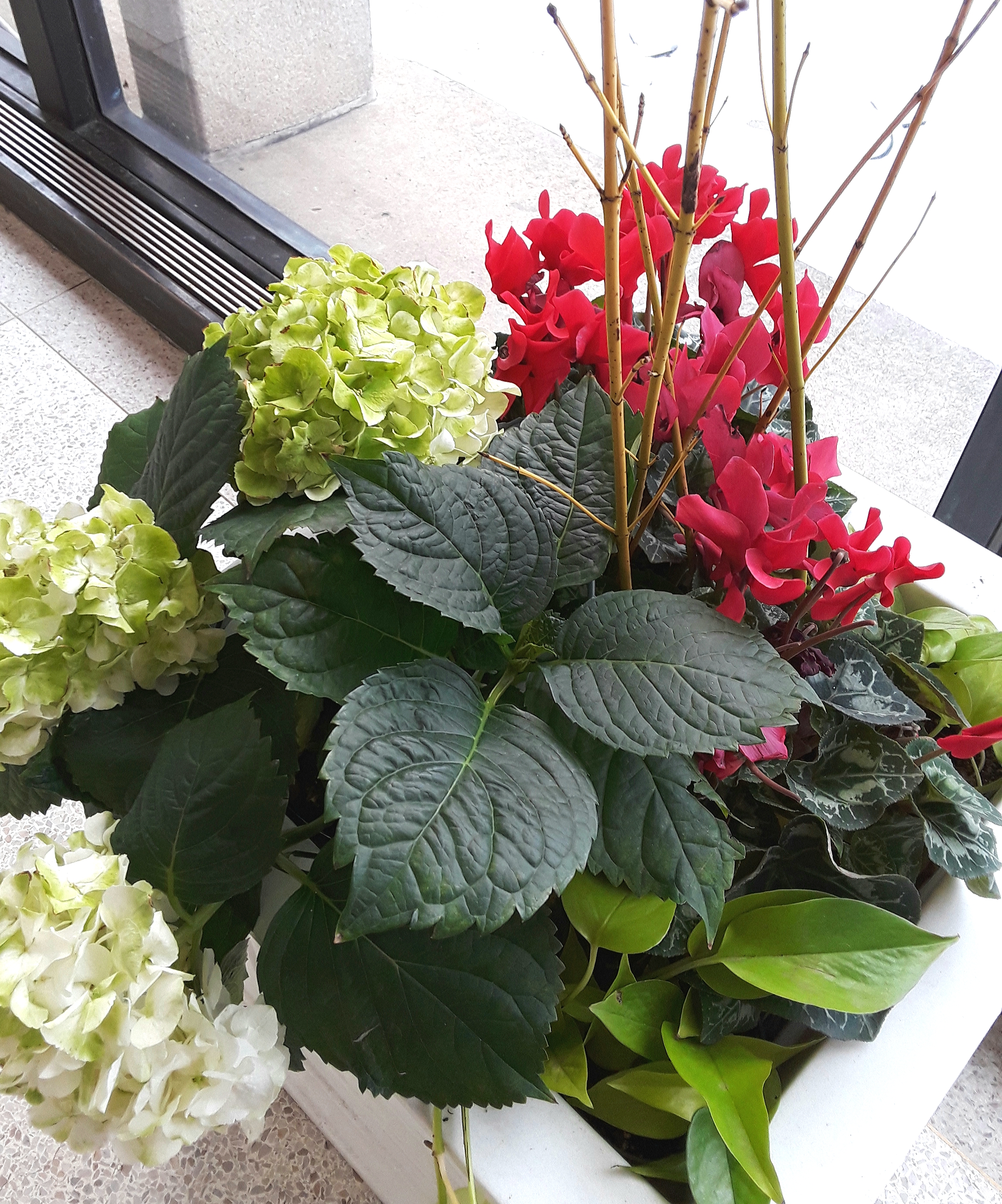 The Christmas planters include red, green and white colored flowers and foliage.