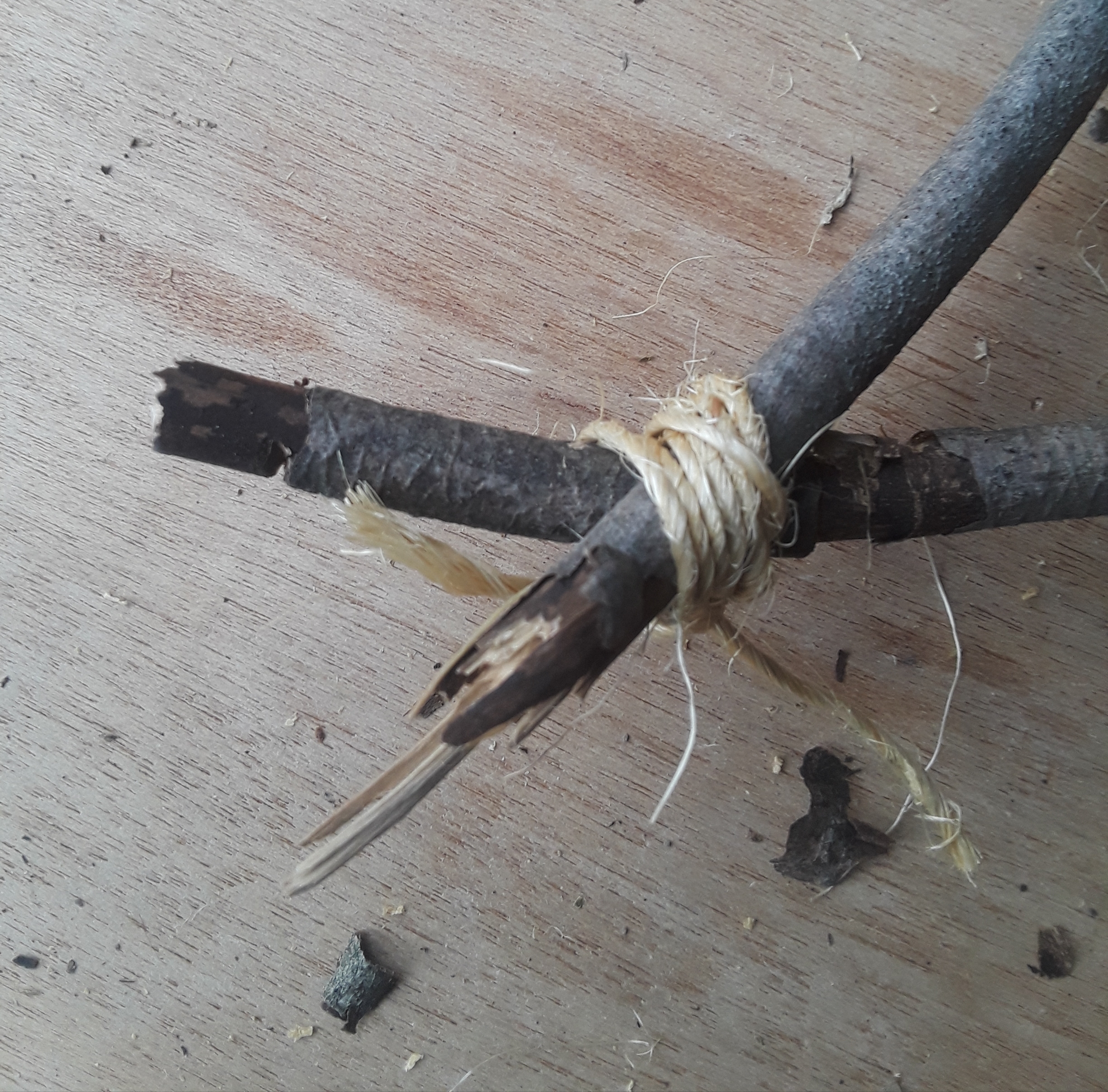 Wind twine around intersecting branches and then tie off.