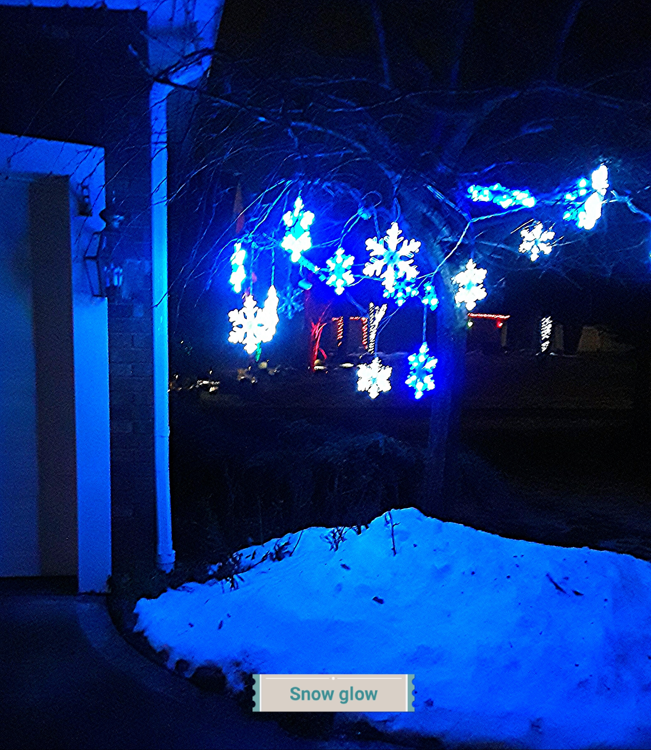 Snowflake lights hung on a crab tree next to the garage