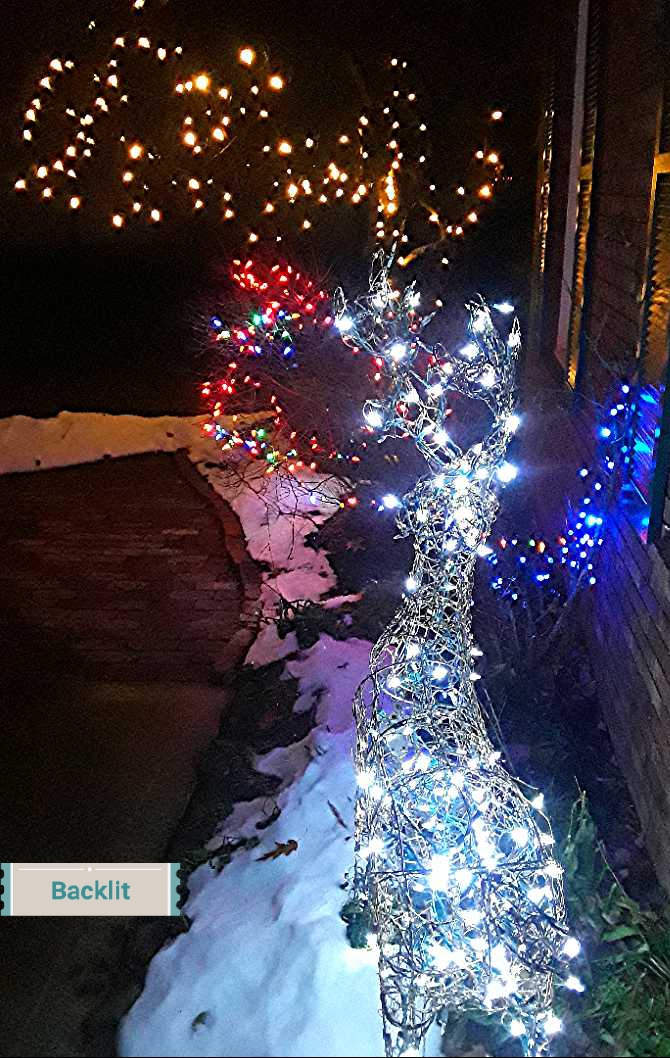 white lights on a grapevine deer, blue and multicolored lights on shrubs, and gold lights on crabtree