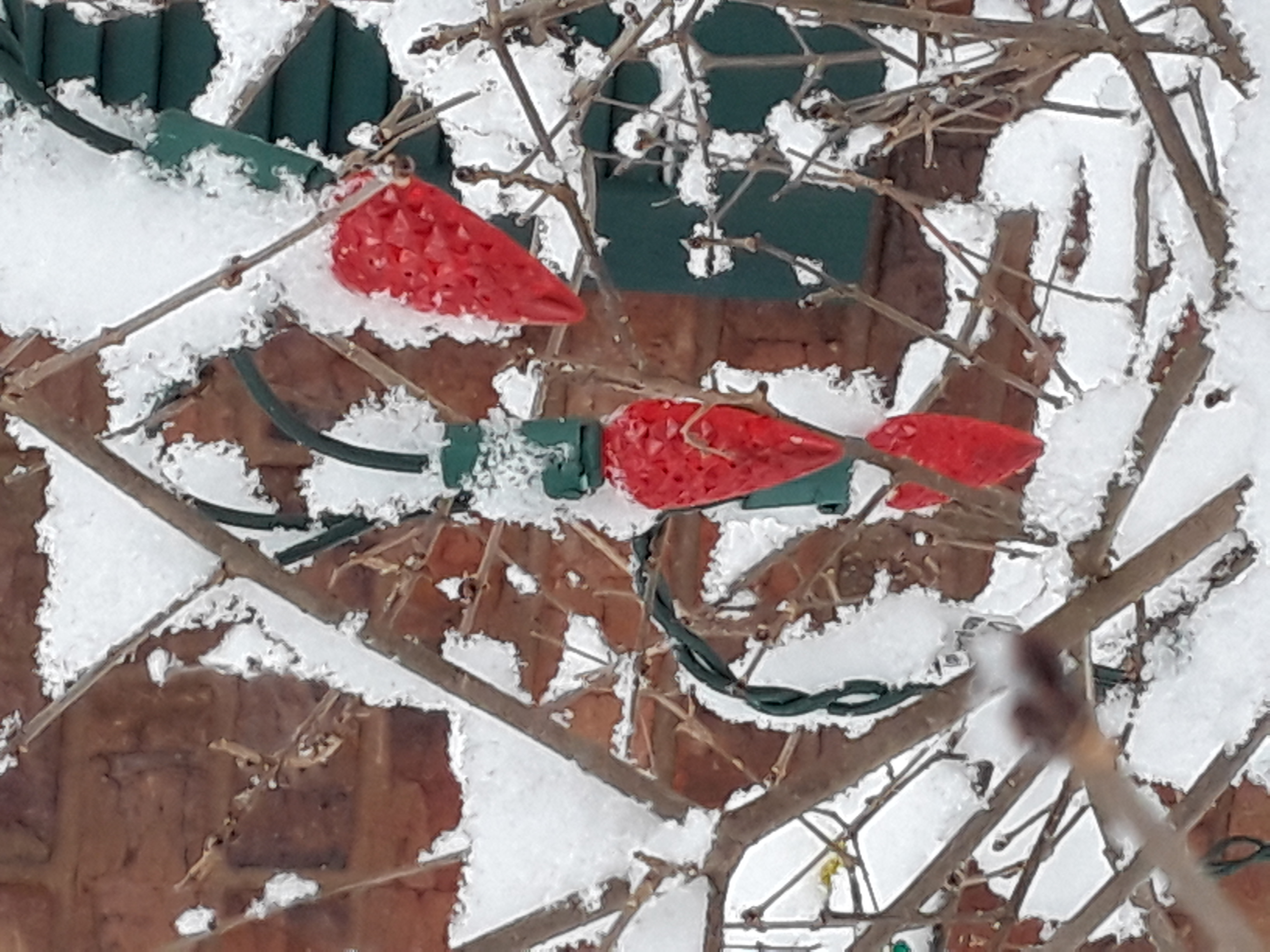 Red Christmas lights coated with snow