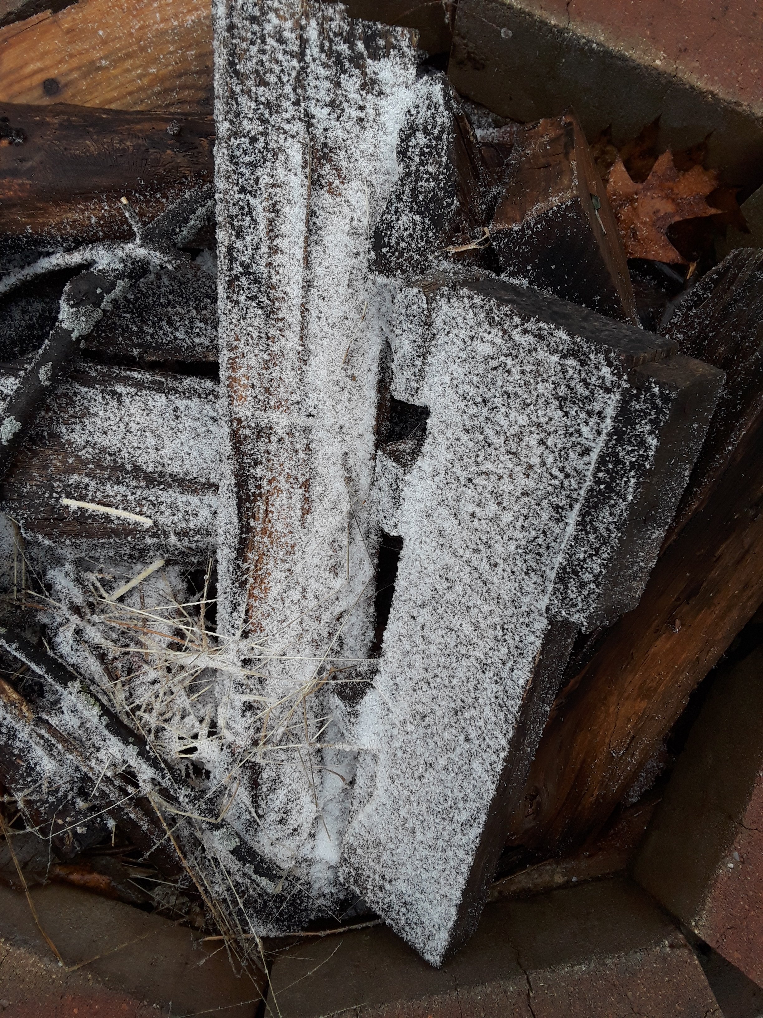 wood pile covered by snow