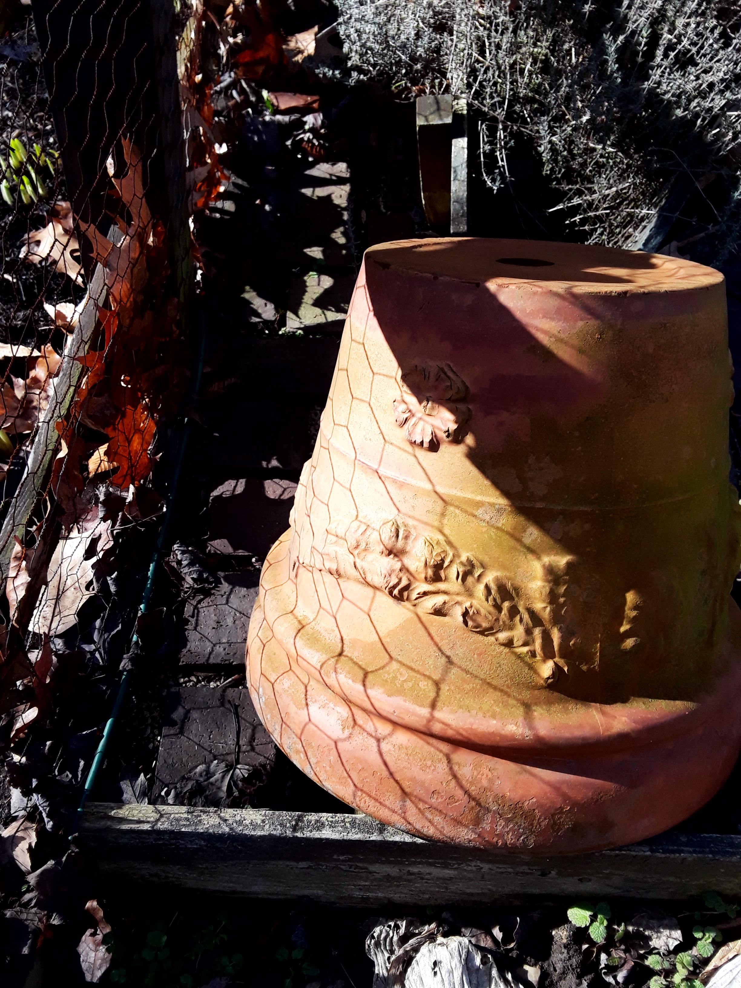 terra cotta