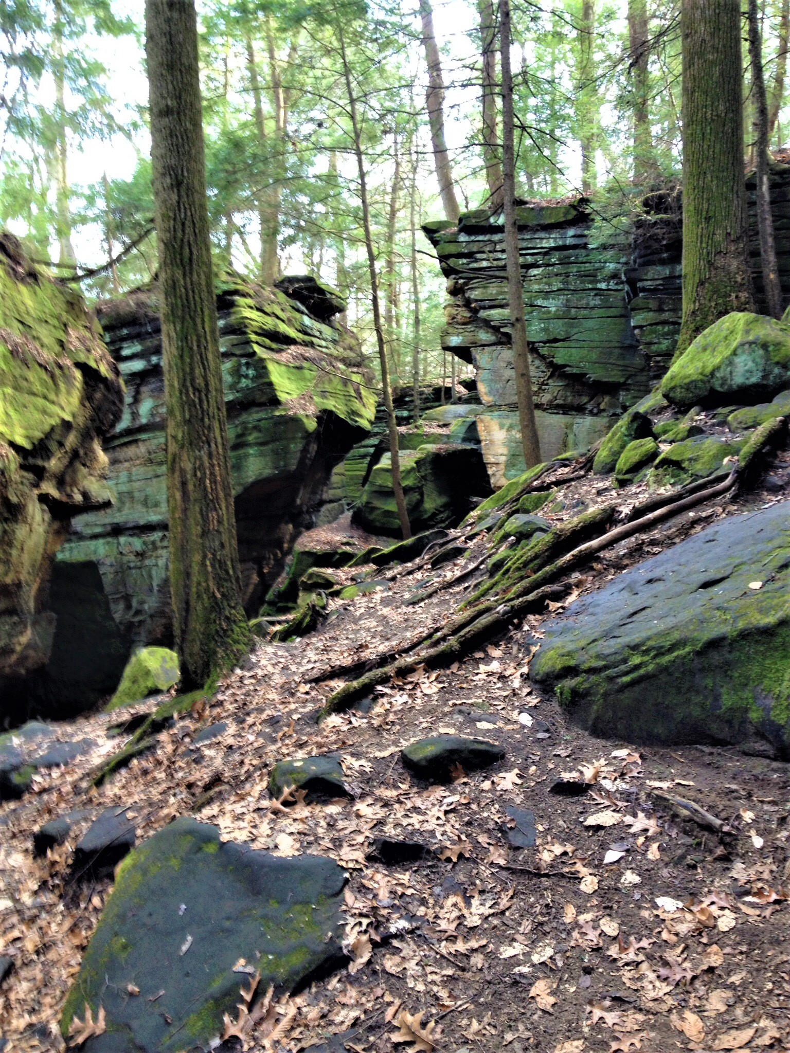 Kendall Ledges is a favorite hiking trail just south of Cleveland in the Cuyahoga Valley National Park.