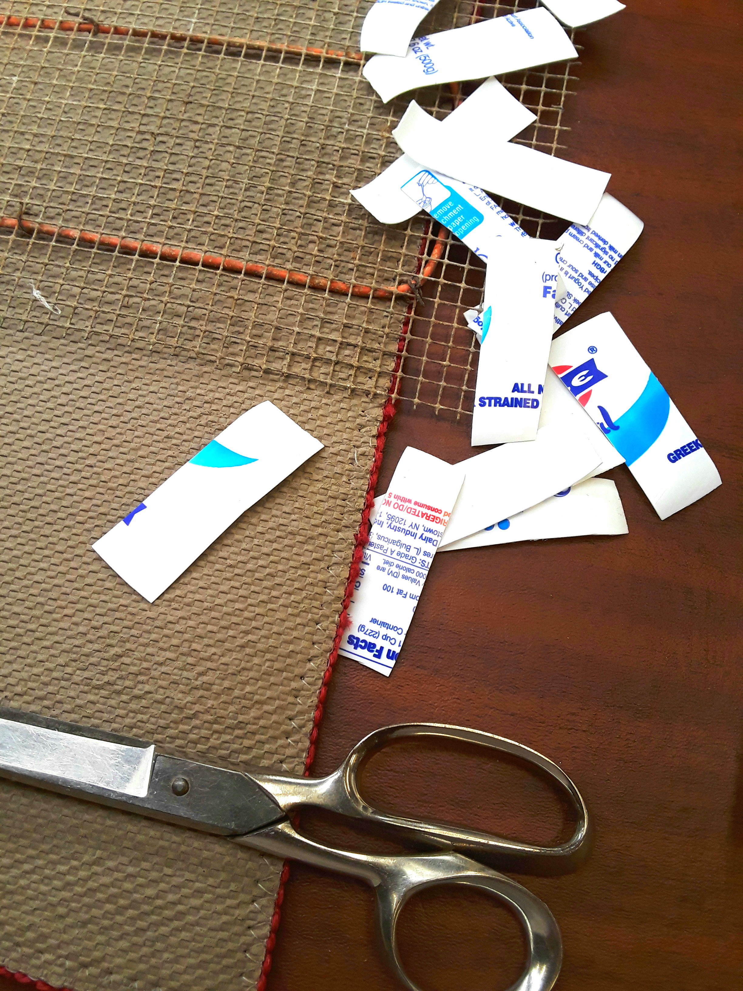 A yogurt container is cut into small, long rectangles to use as plant markers.