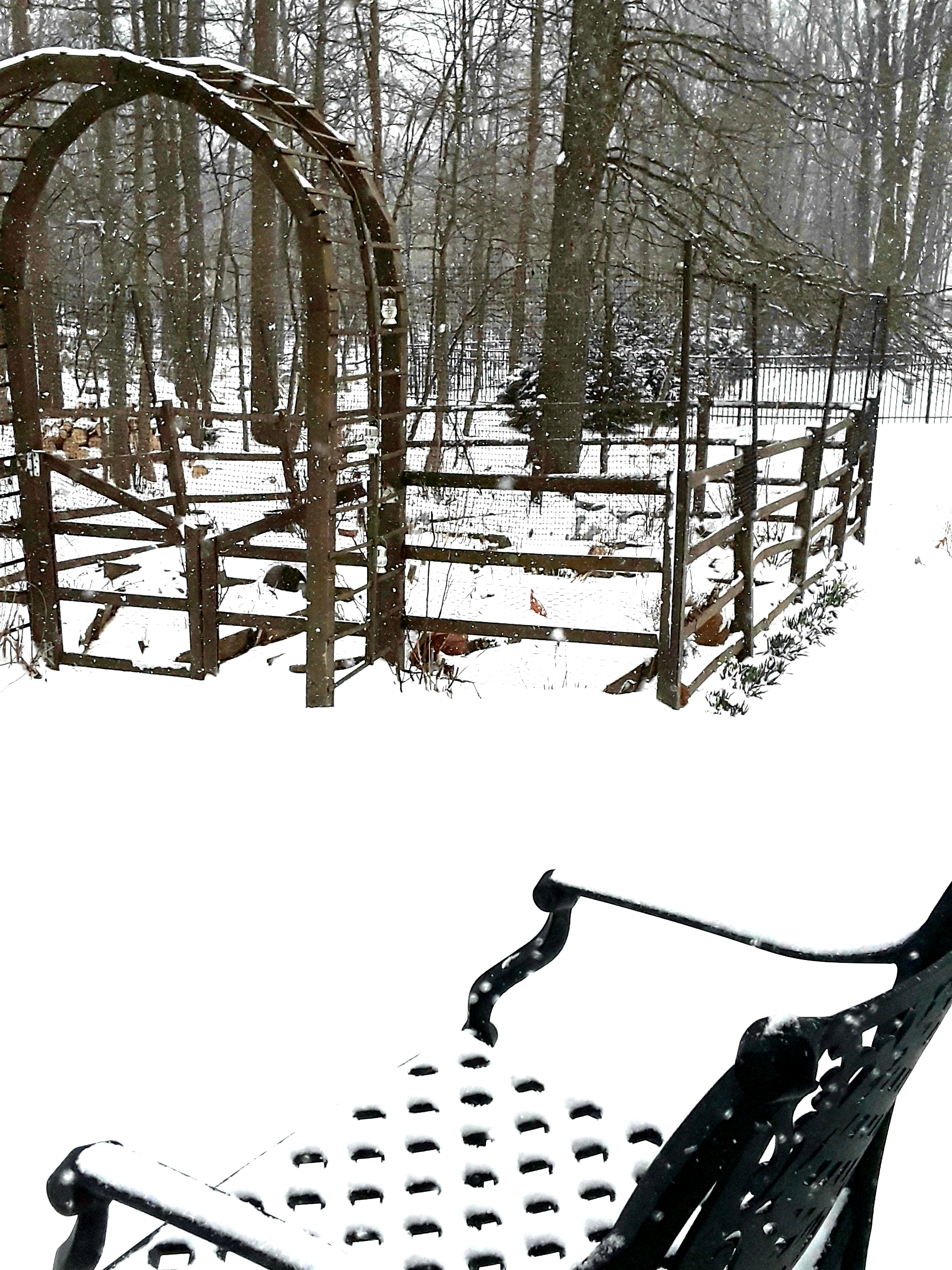 Garden and deck covered with snow