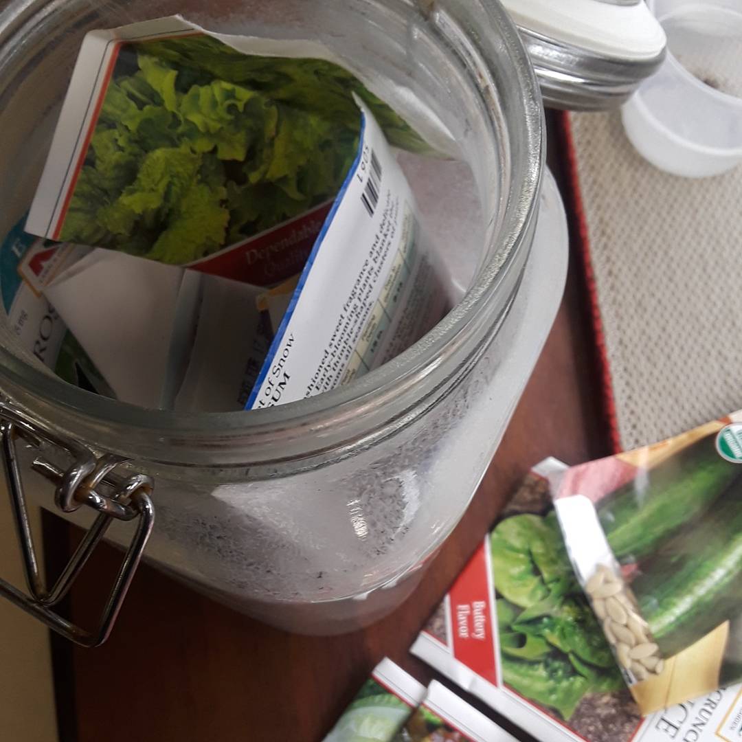 Seed packets are stored in gladd jars with tight lids.