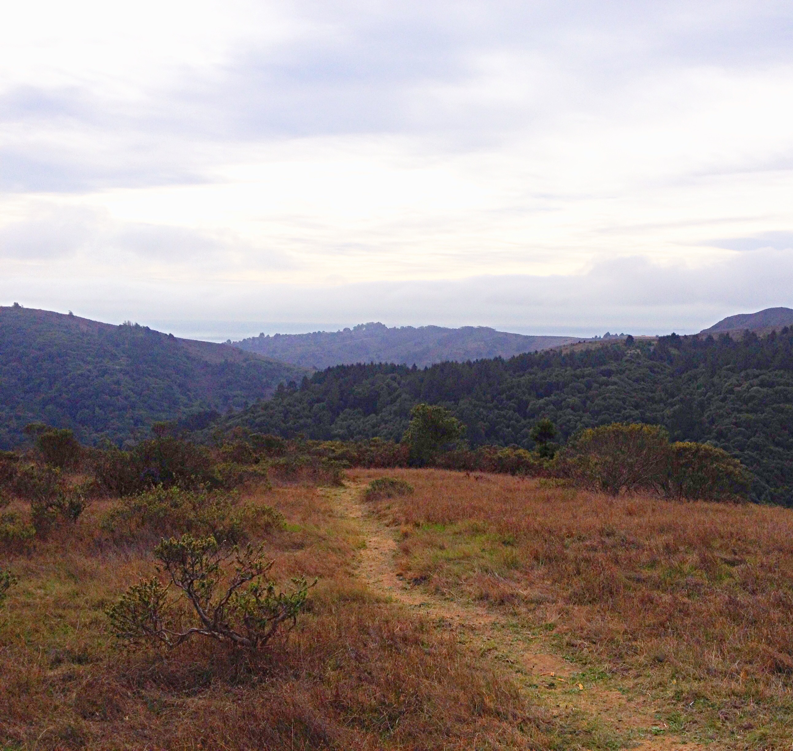 Trail along the ridge offers views of the surrounding wooded hills