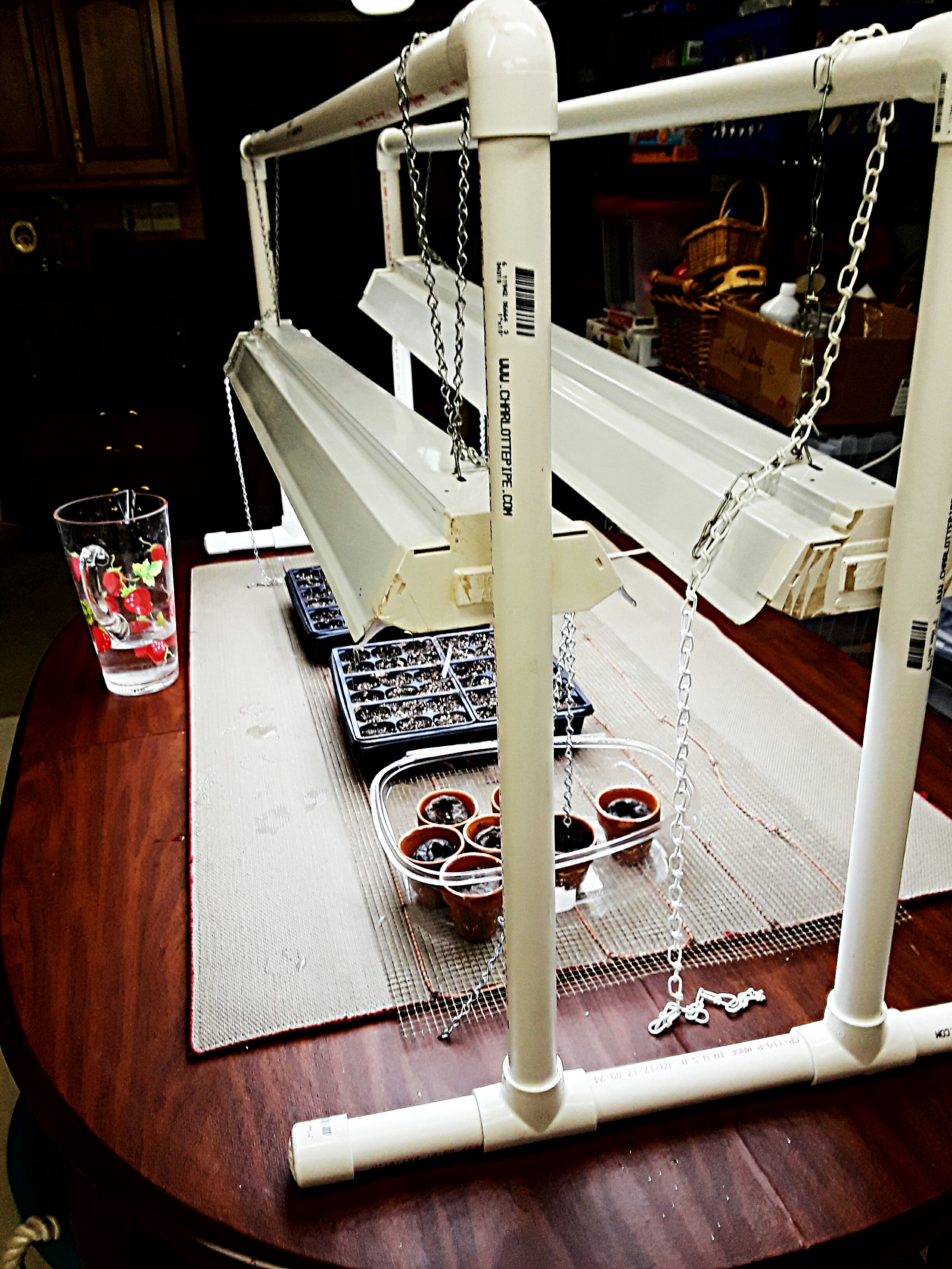Grow light apparatus is made from PVC pipe.