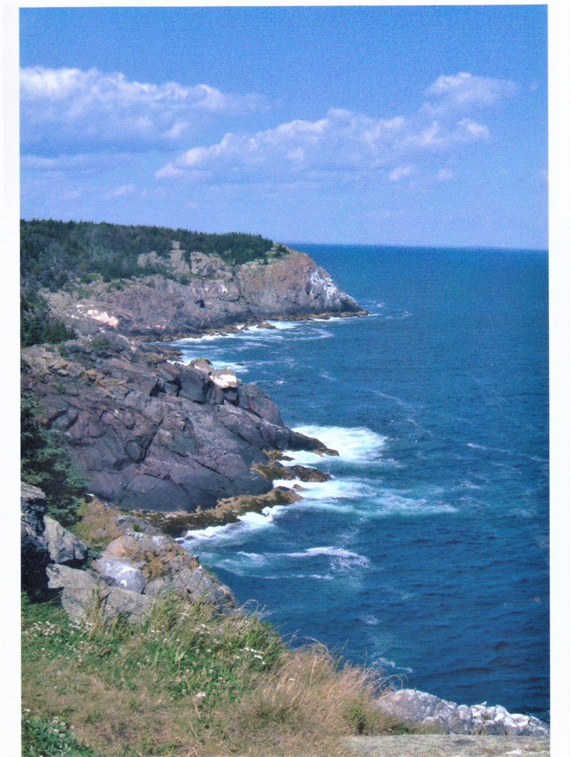 The cliffs on Monhegan are visible from hiking trails that crisscross the island.