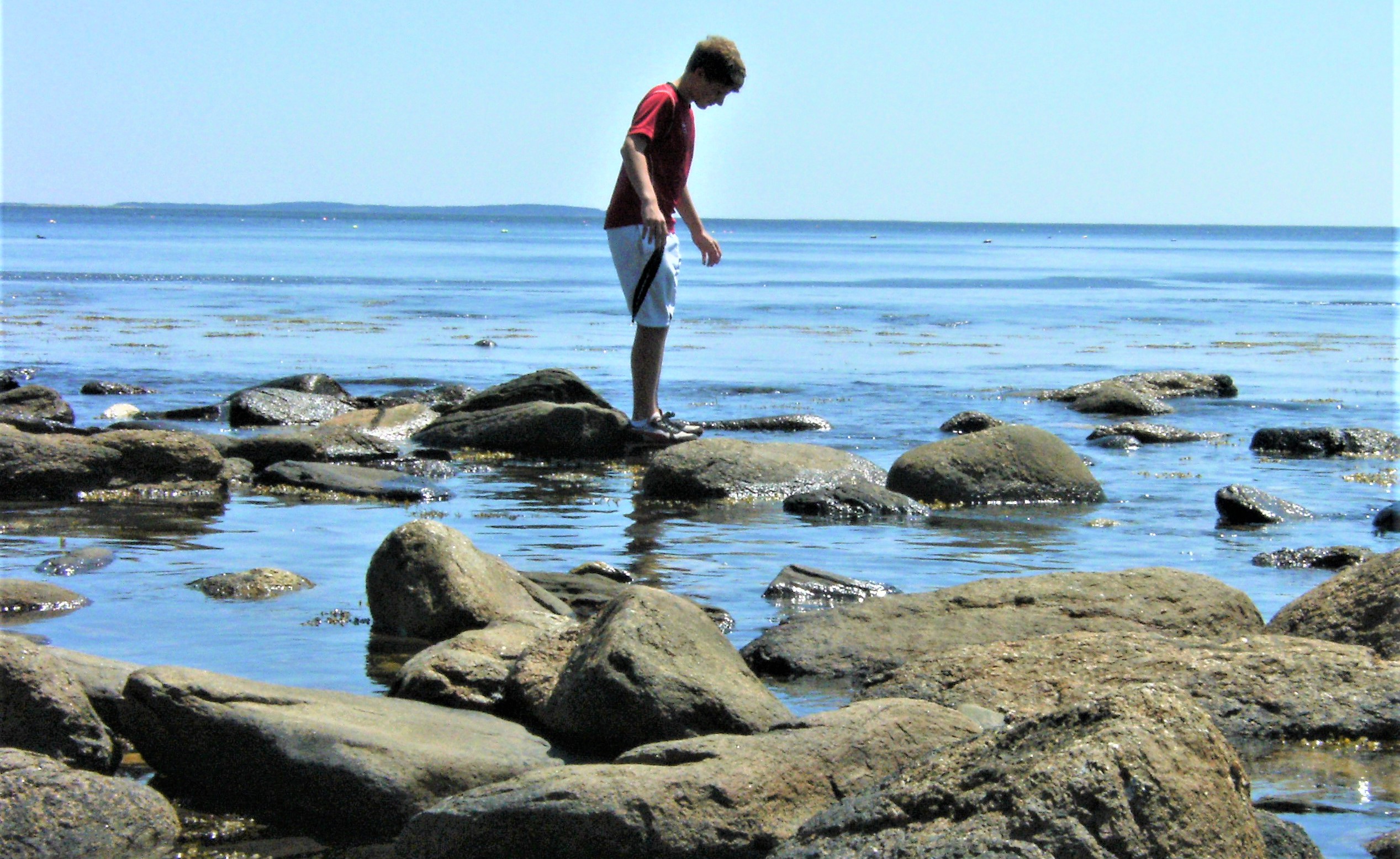 A young man carefully climbs rocks around tidepools.