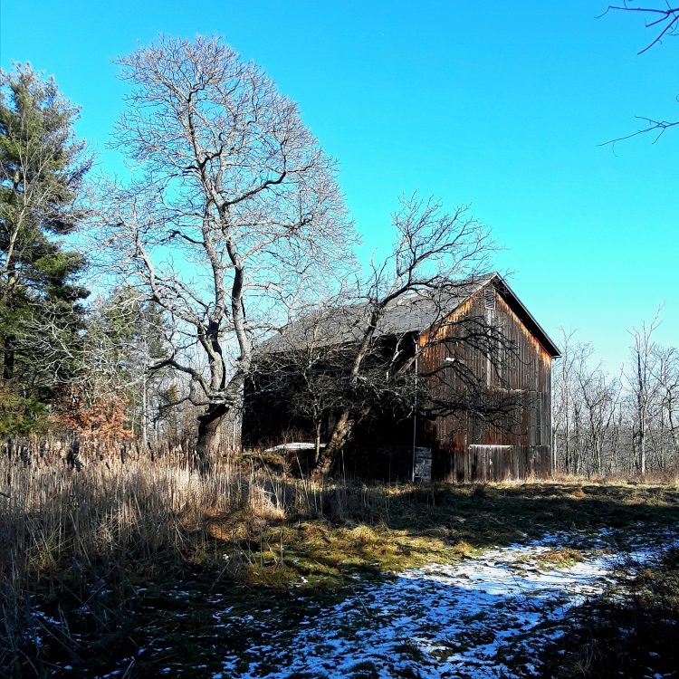 A weathered wood barn is silhouetted by a bright blue sky