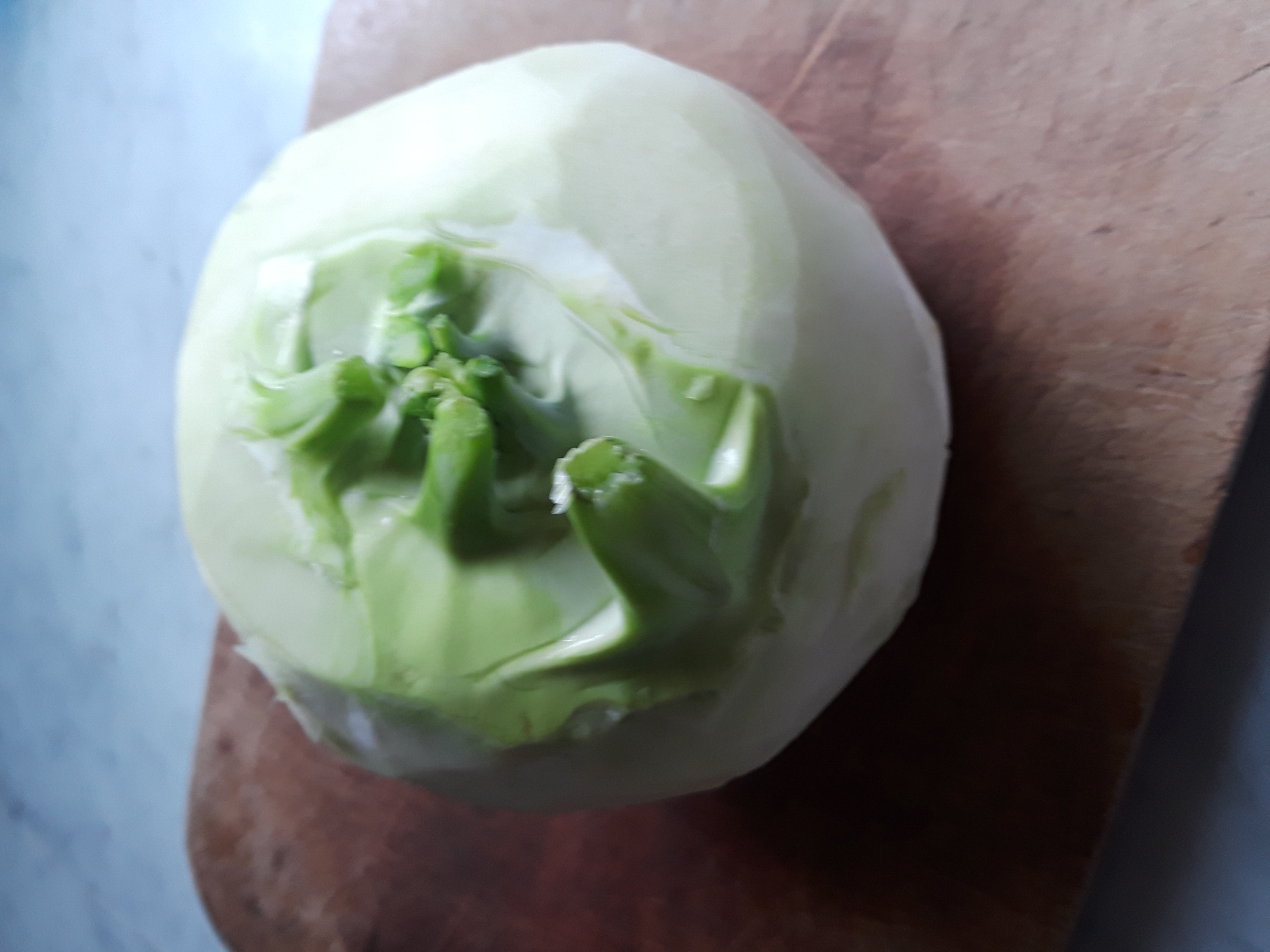 A kohlrabi bulb resembles a turnip, but is not in the same family