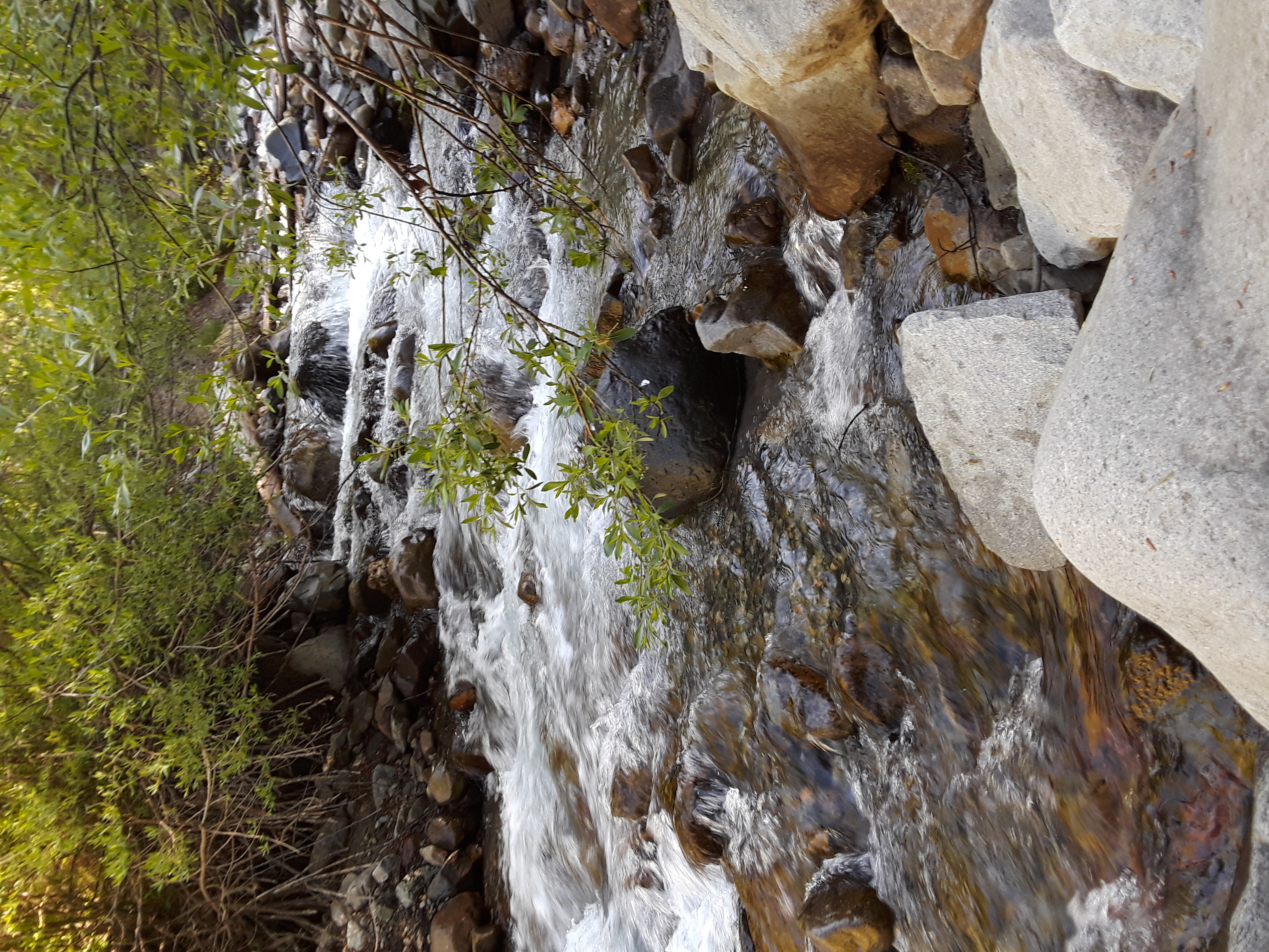 Creek water cascades down the mountainside as the snow melts in the sunshine