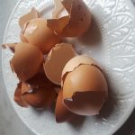 eight cracked brown egg shells