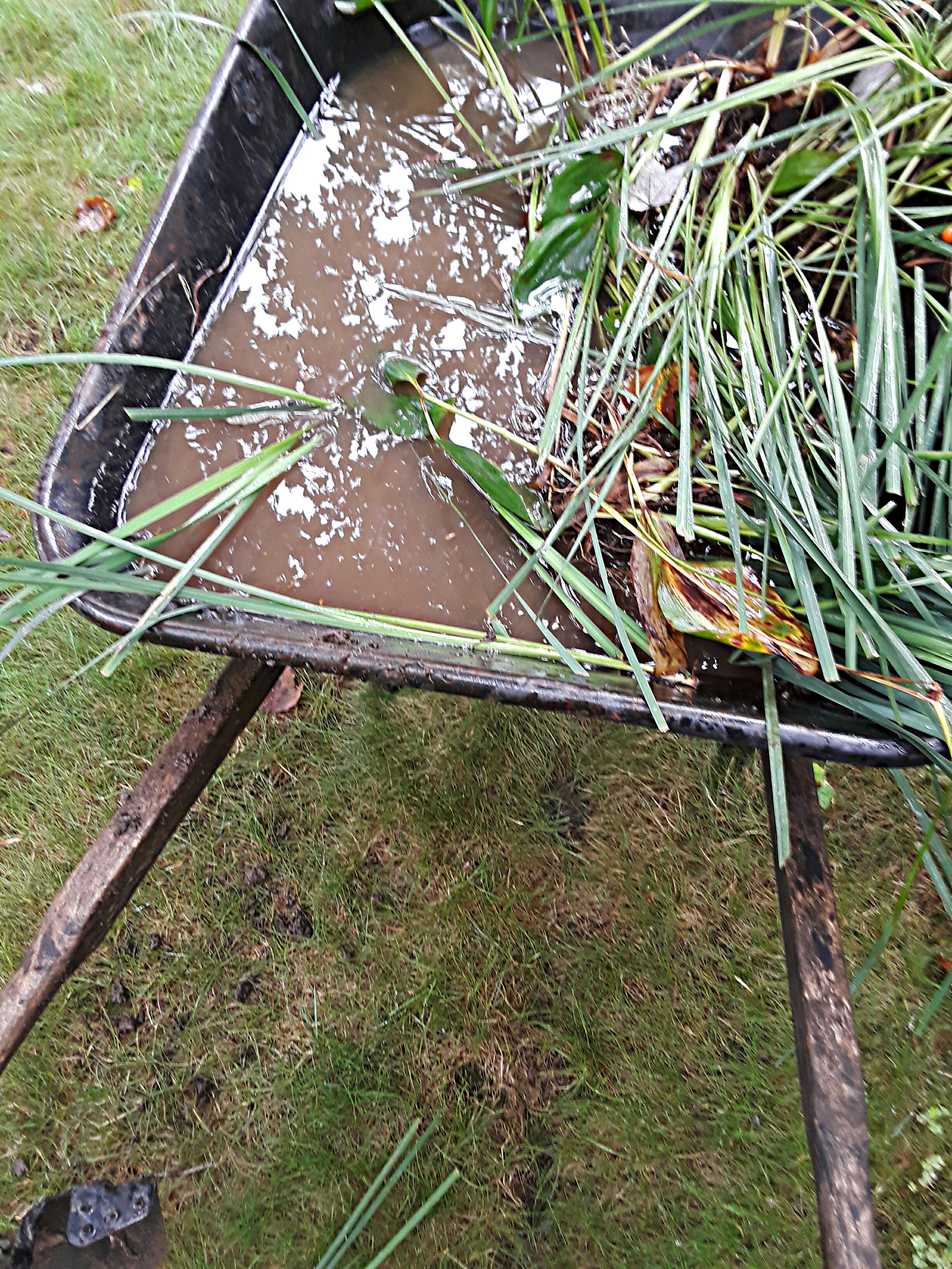 water-filled wheelbarrow