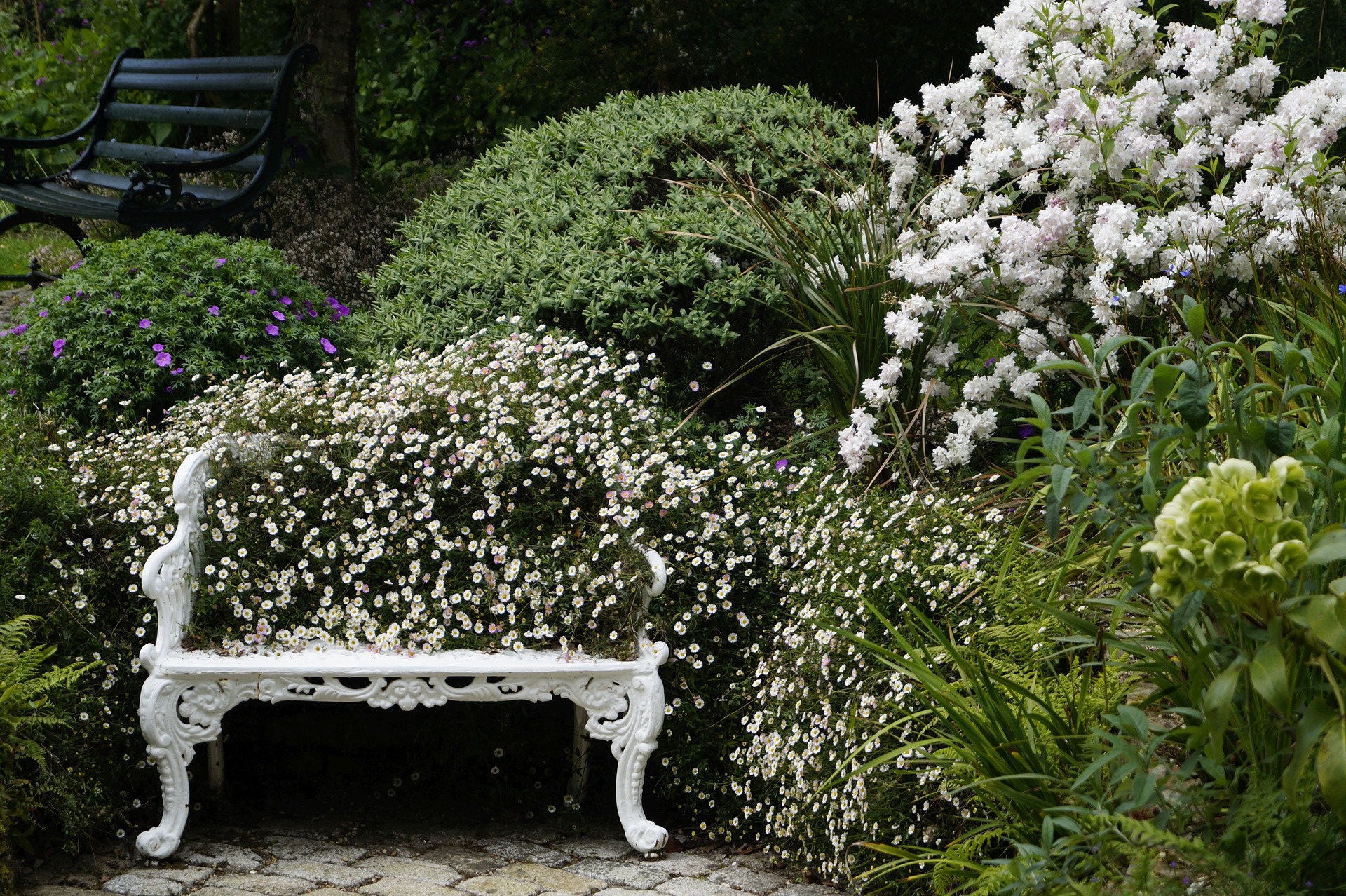 bench