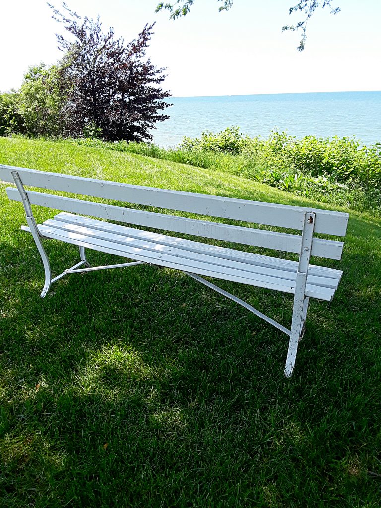 A white park bench overlooks the lake.