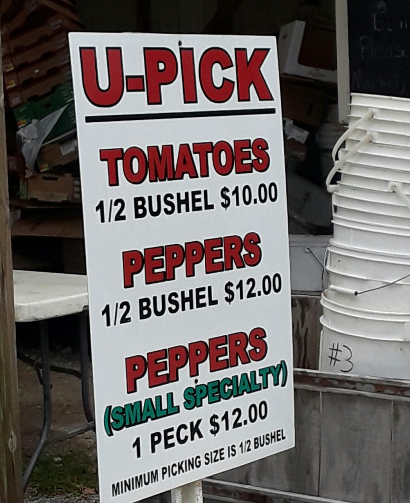A sign advertises pick-your-own tomatoes and peppers.