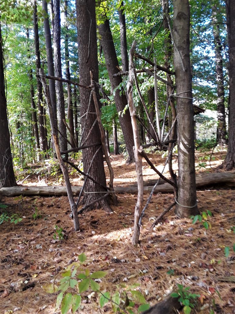gate made from branches