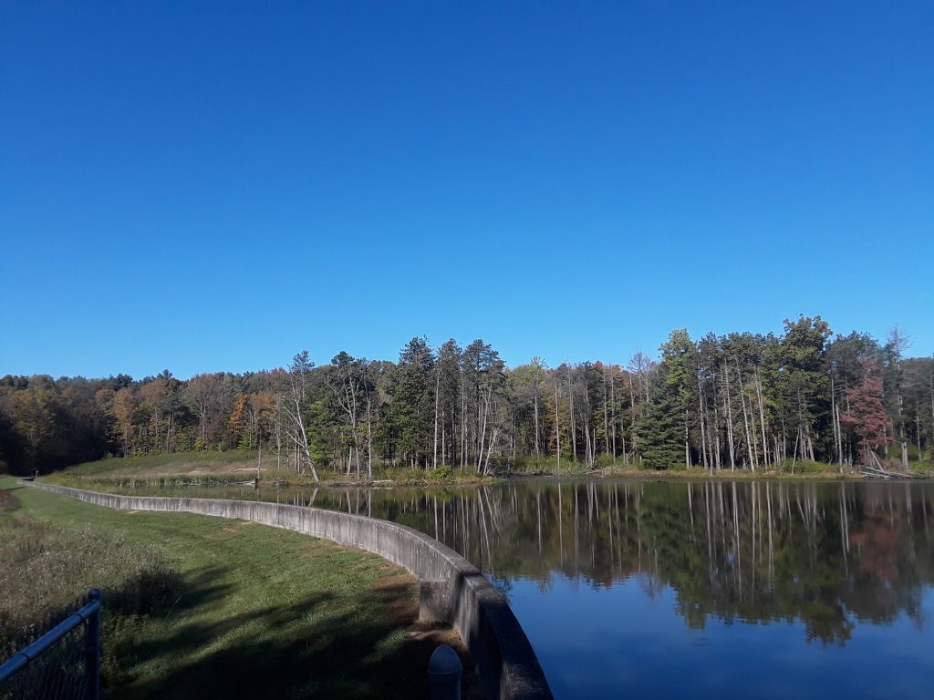 a concrete block wall curves along the south edge of the lake