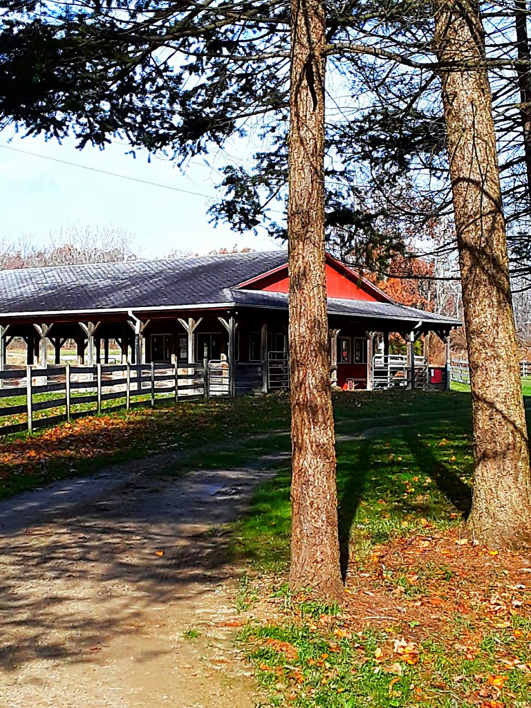 summer barn has open walls