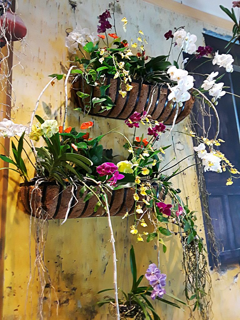 white, pink, and yellow orchids are planted in sisal lined flower boxes