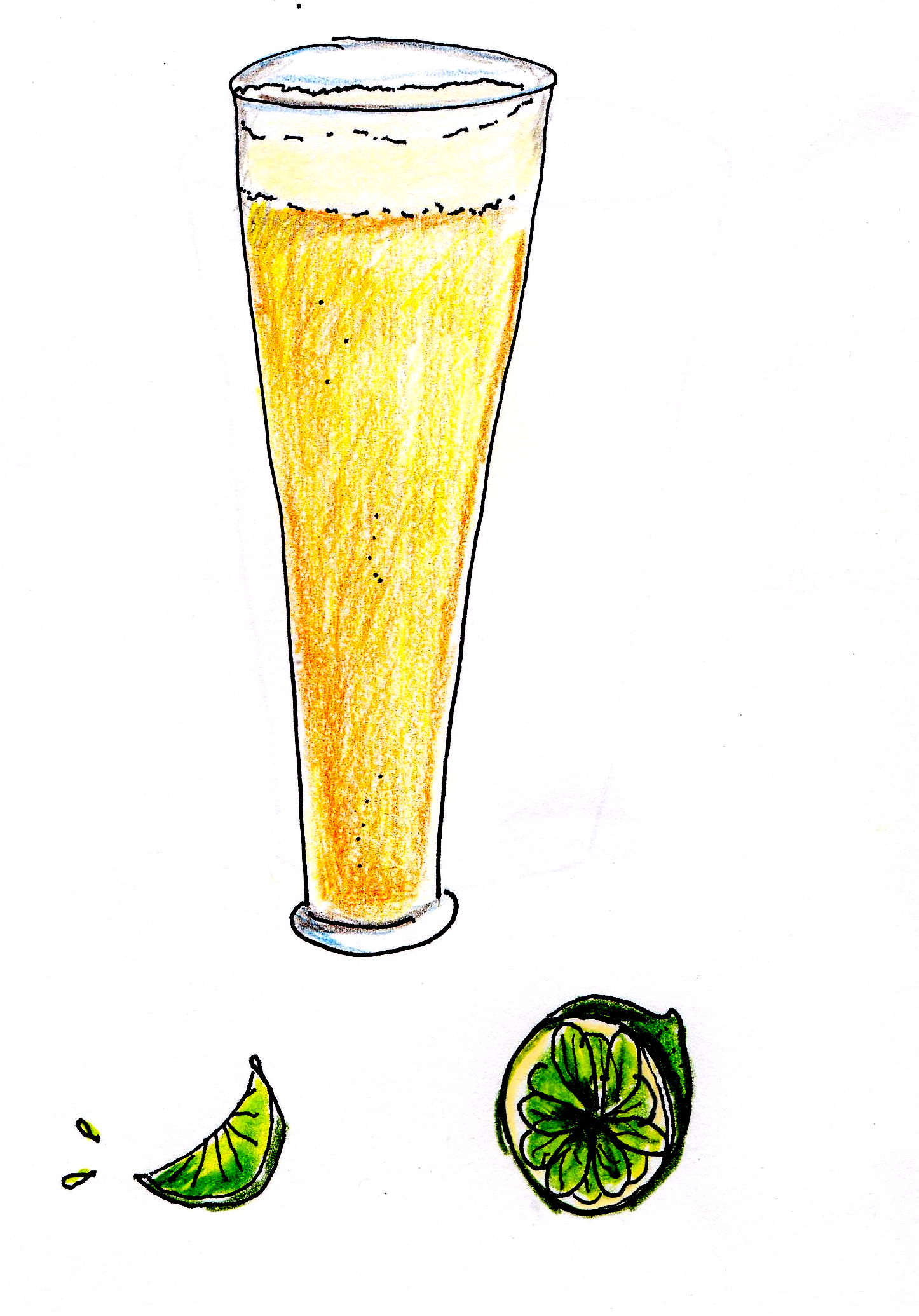 drawing of light beer in pilsner glass with limes
