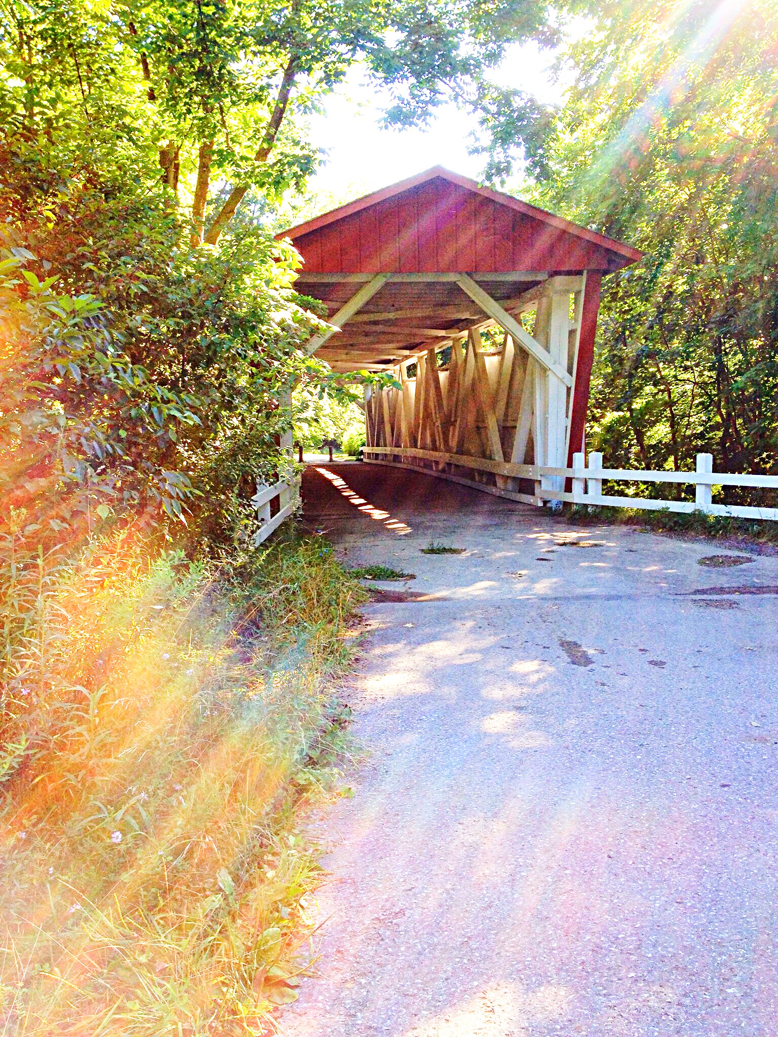 photo of sunlight streaming before bridge