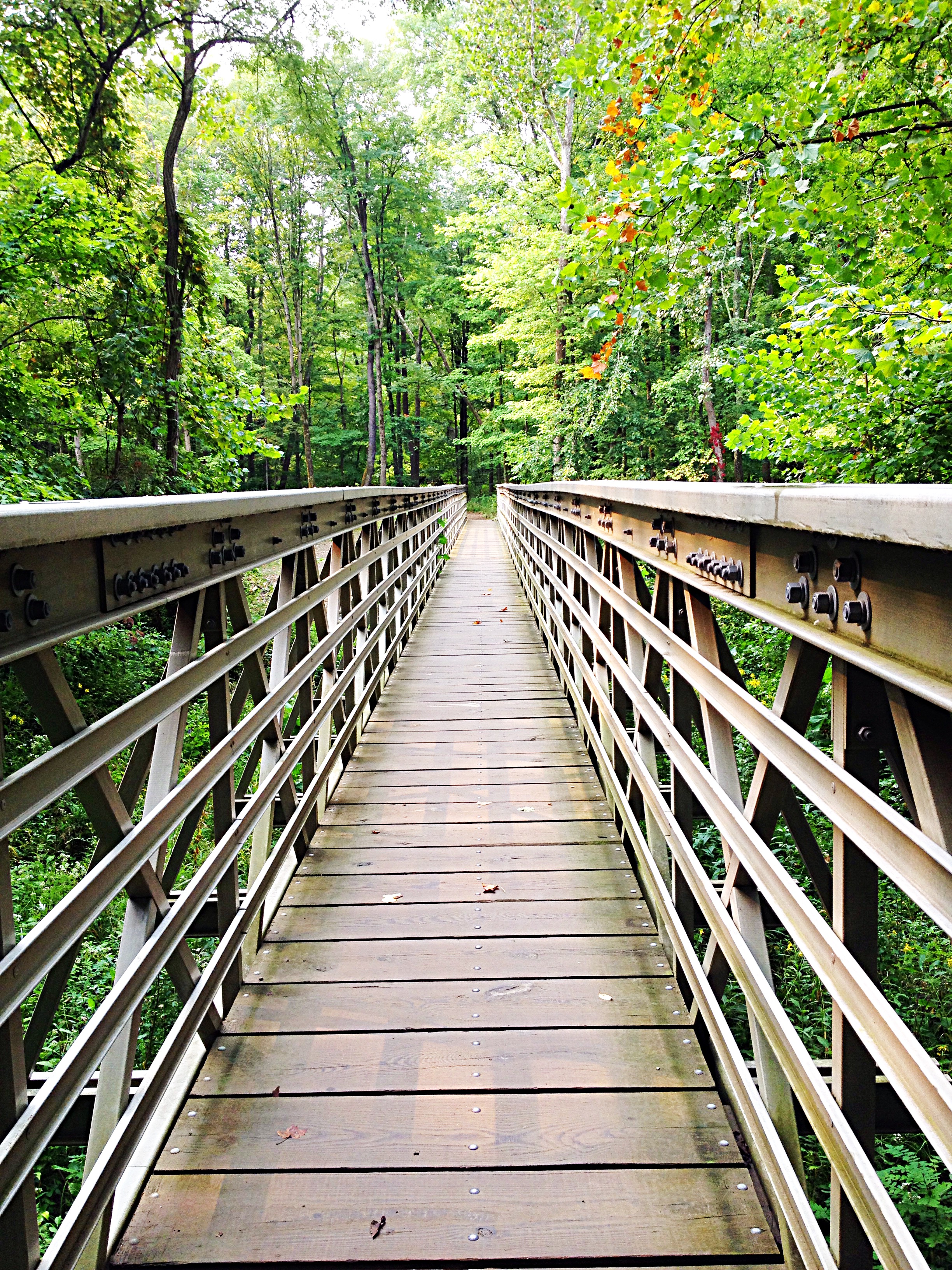 Bridge over Brandywine Creek
