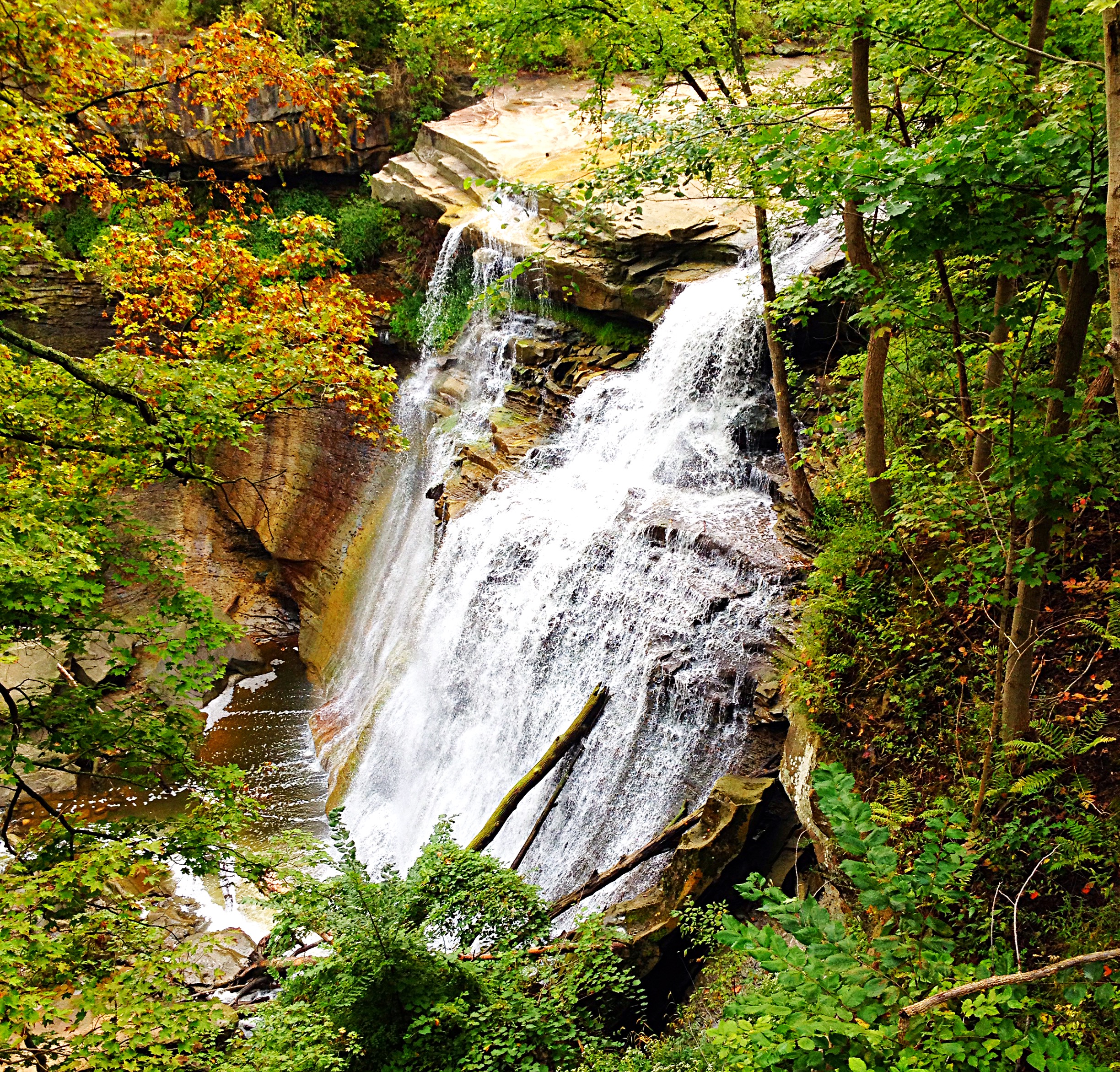 Long view of Brandwine Falls