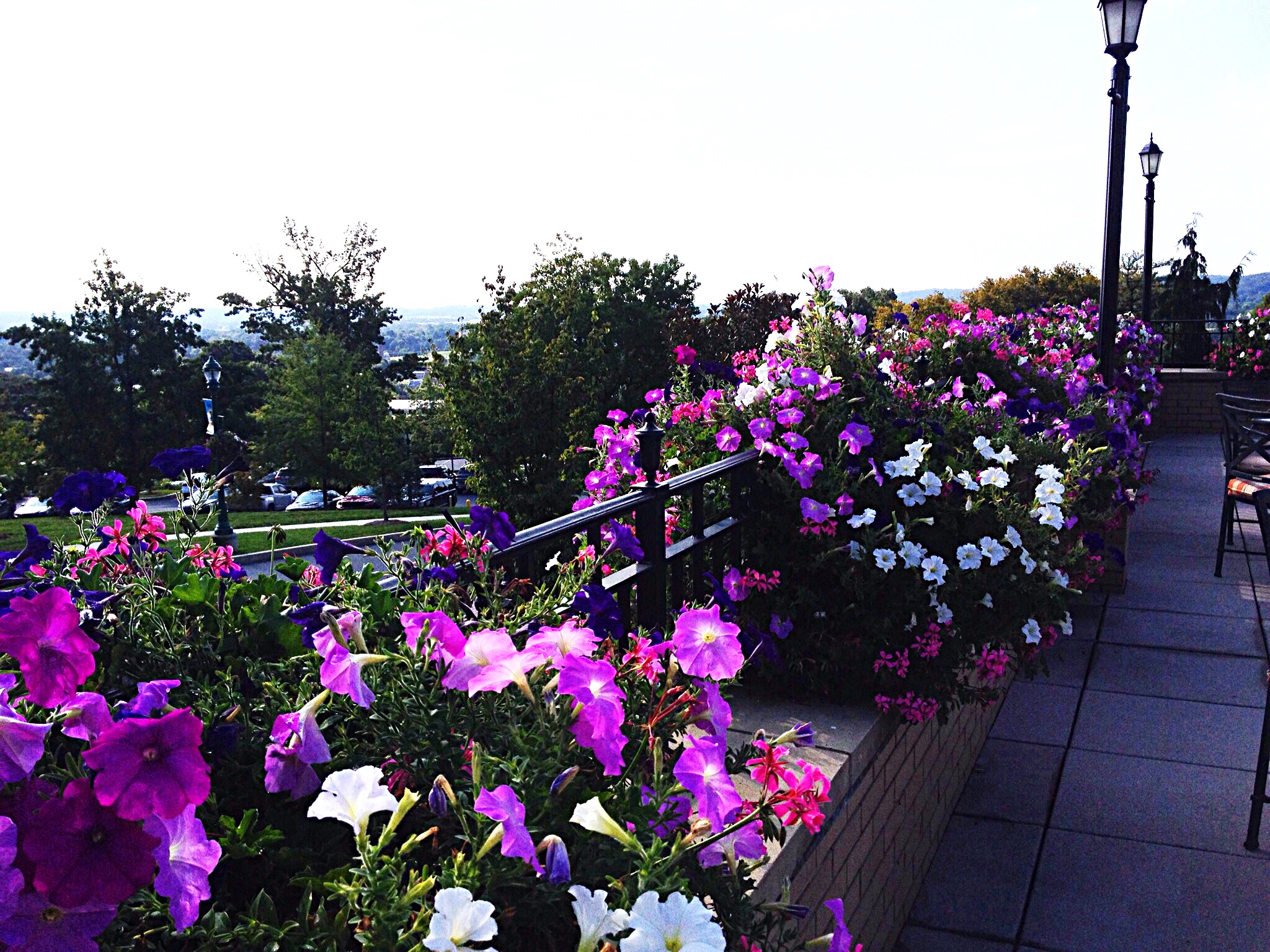 Flowers adorn the terrace railings.