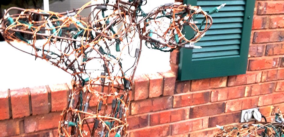 grapevine deer covered with fairy lights