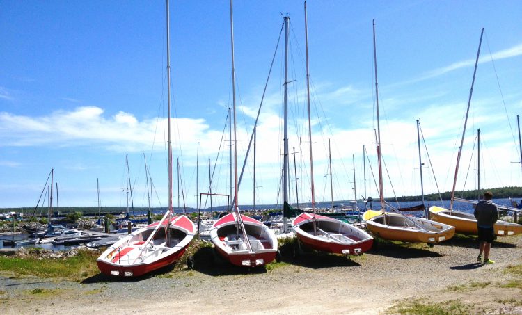 red and yellow sailboats dry-docked along the harbor