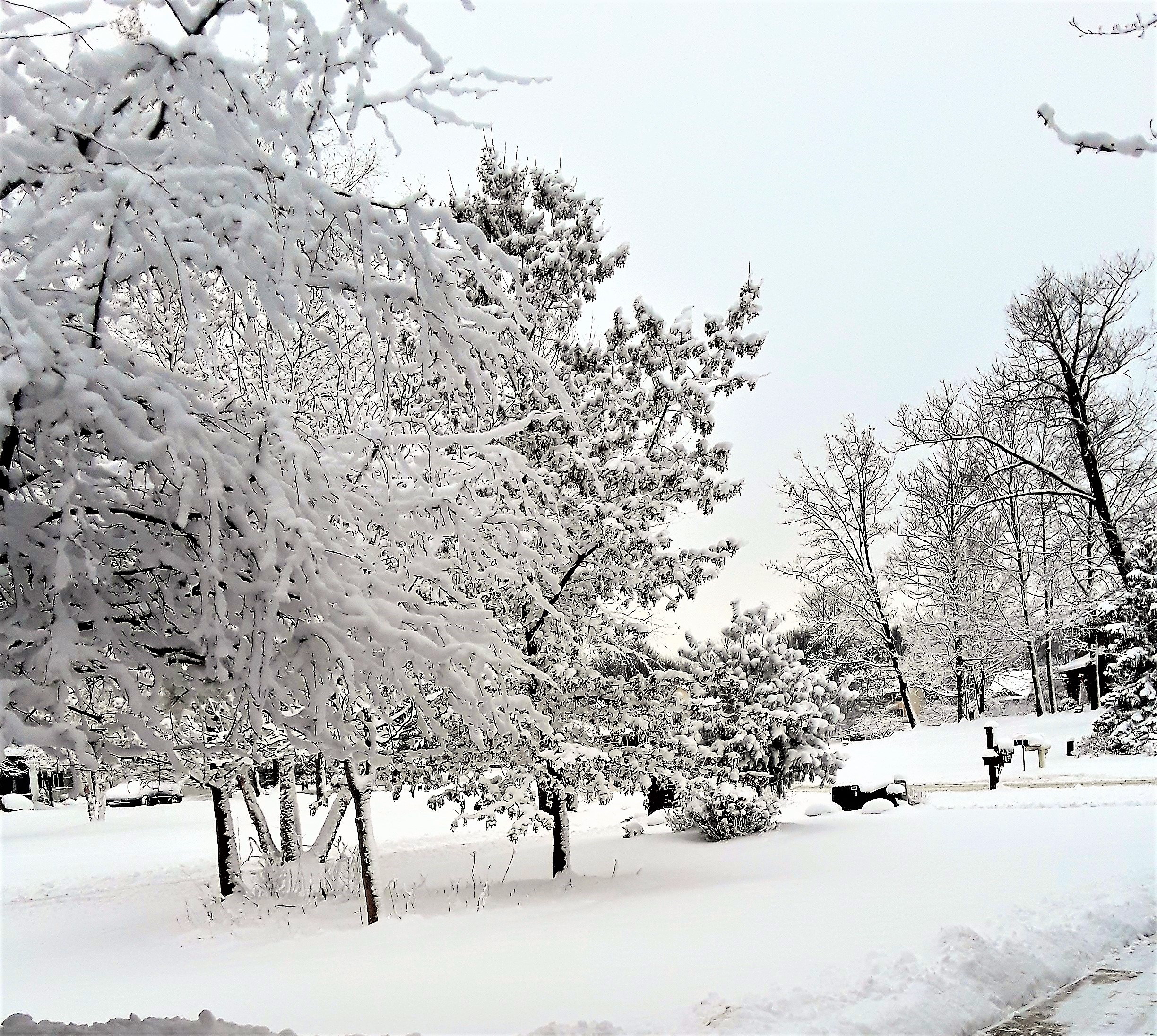 snowfall covers a suburban neighborhood